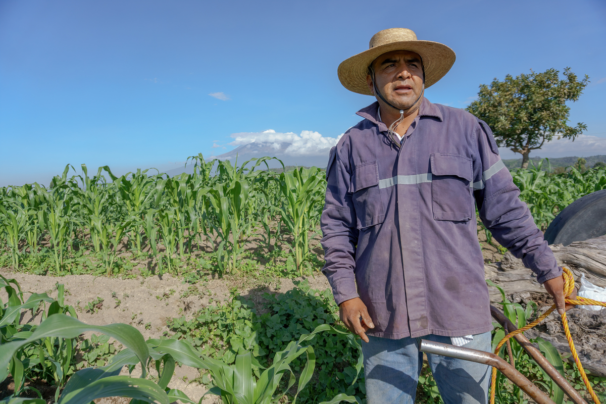 农民劳作：辛勤耕耘，收获希望