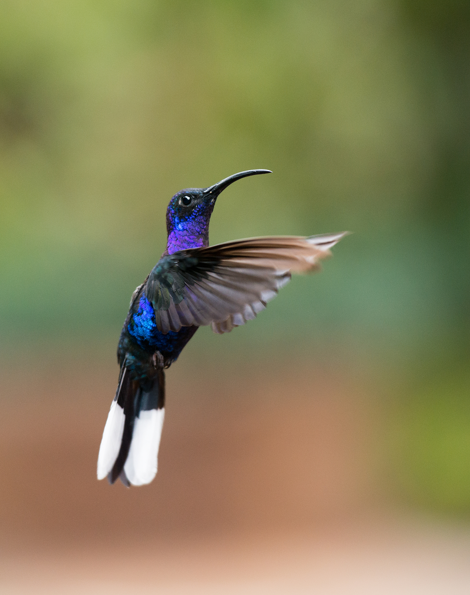 手机原相机拍摄技巧：还原真实场景