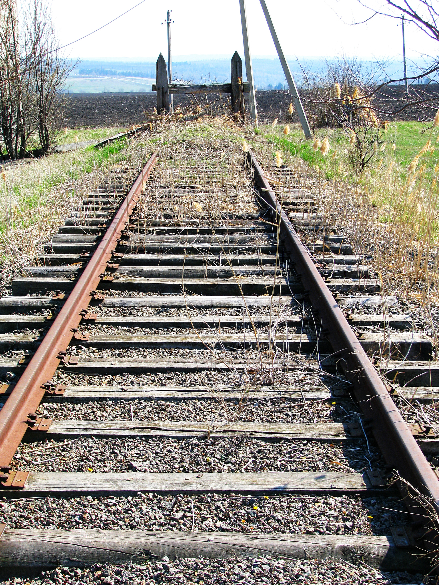 铁路院校专业选择指南：如何选到适合自己的专业？