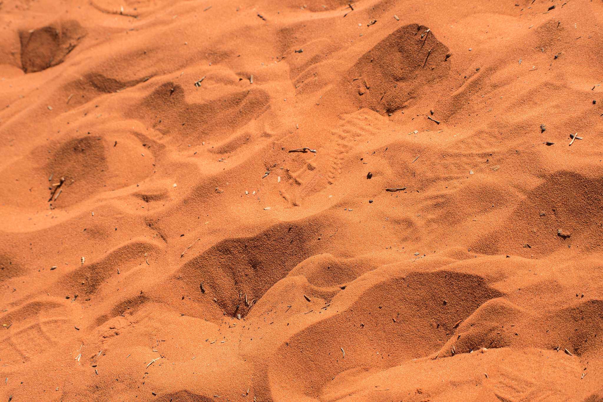 i世界上有多少粒沙子