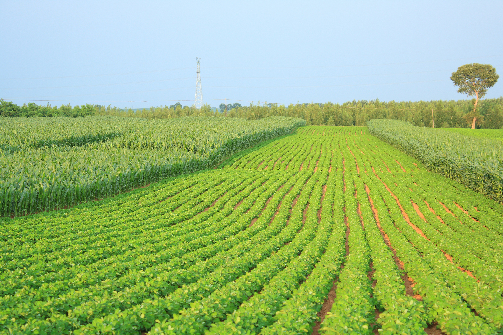 盐城市烟草专卖局: 以科技创新赋能现代化建设