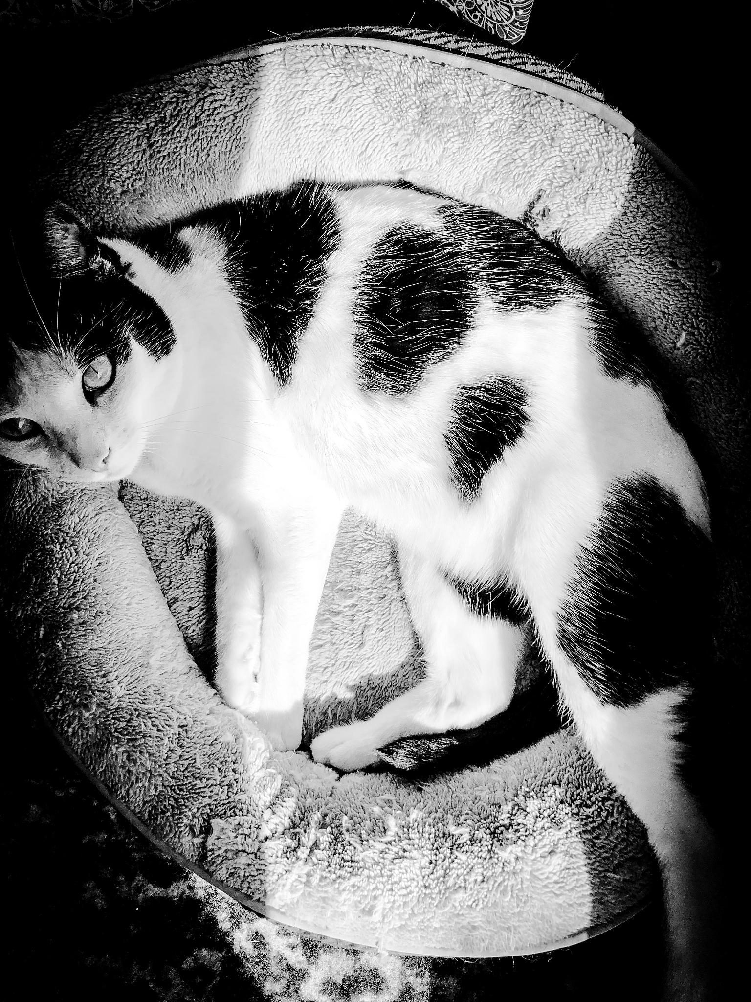 迷你Dayz2 最新游戏更新日志：新地图、新敌人、新挑战！