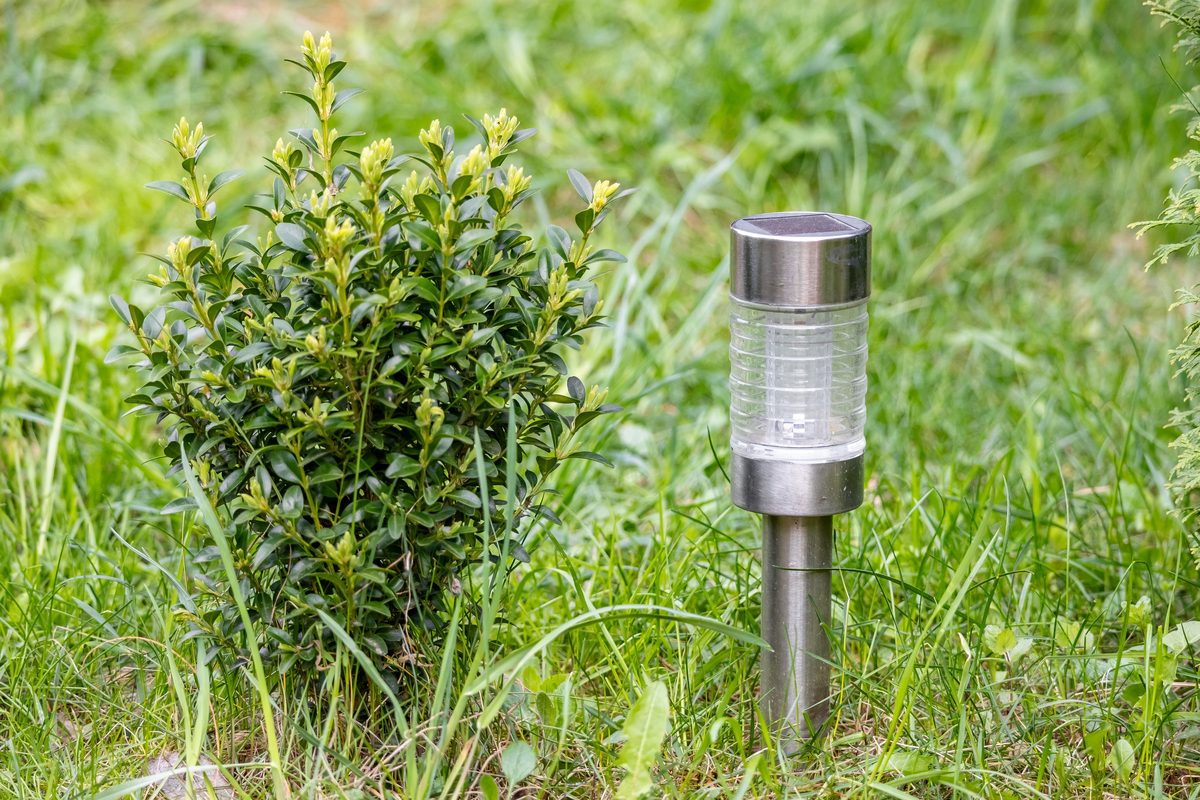 Garden Light Smart Water Bottle Speaker: FAQs on Appearance, Safety, and Functionality