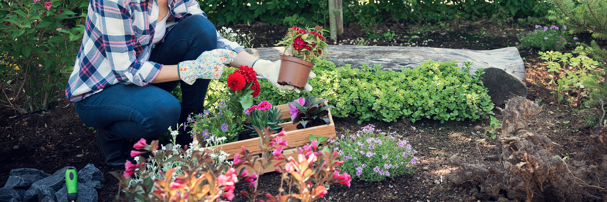 上海市园林学校招生简章 - 学习园林专业，成就绿色梦想