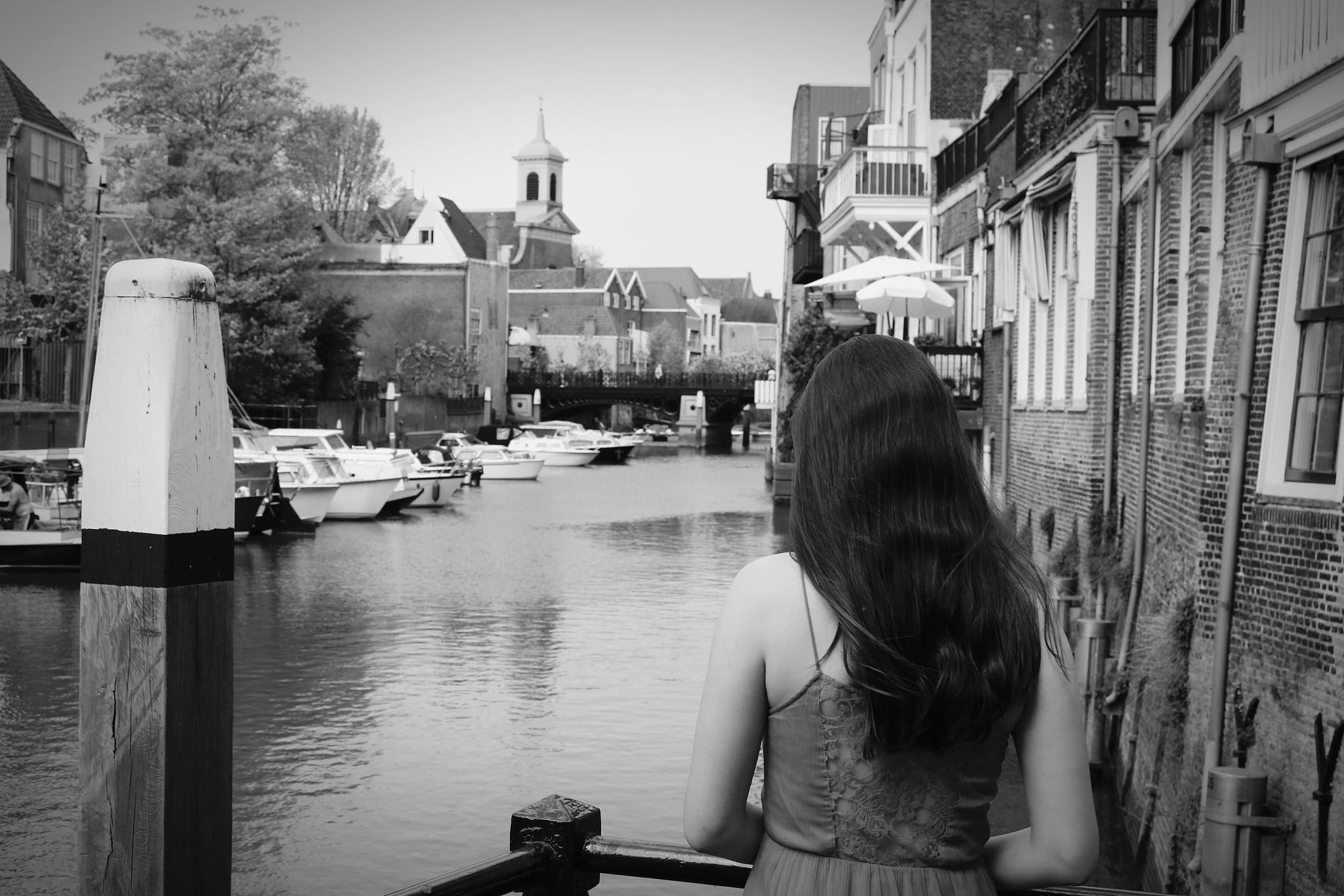 三分构图适合什么画面