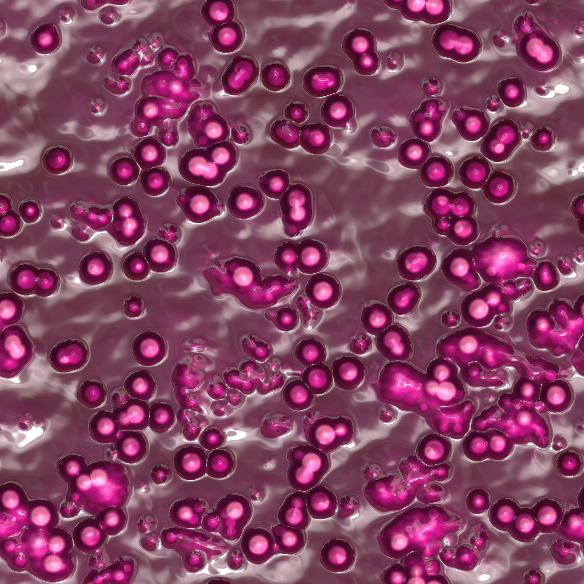 乳糖不发酵的细菌一定是无害的吗? 乳糖不发酵的细菌一定是无害的吗?