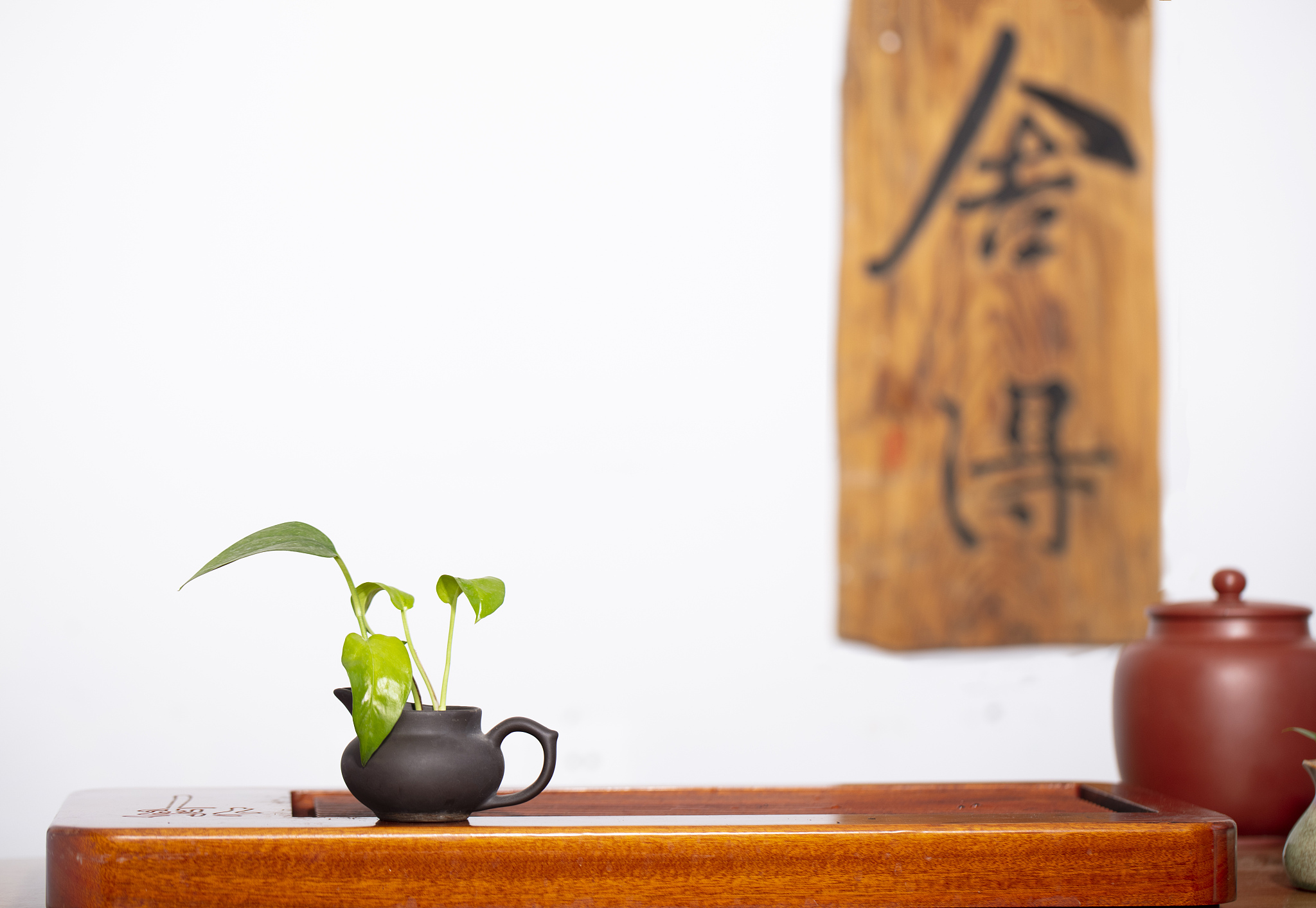 仿写一茶一菩提的诗