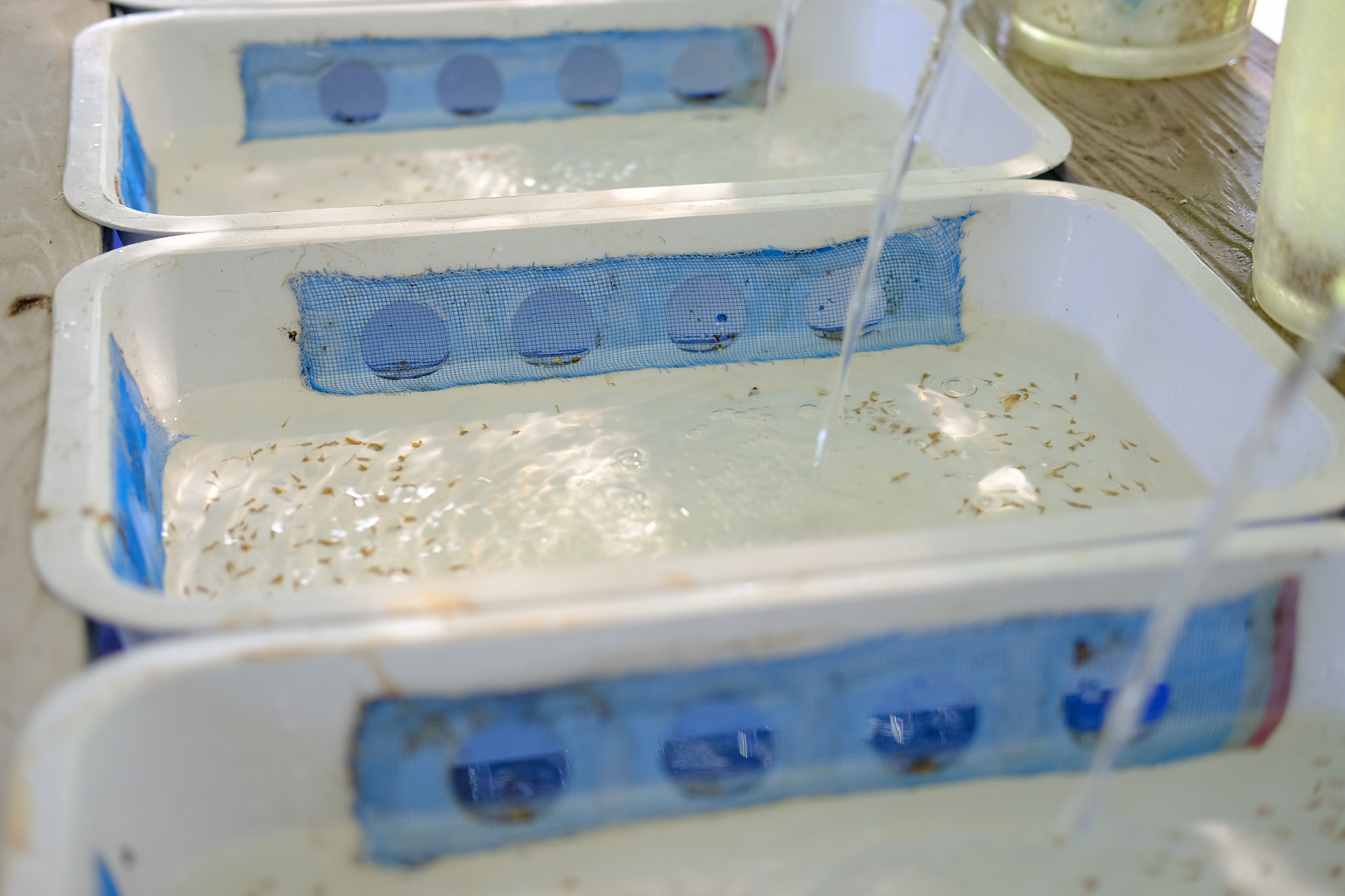 晋中职业技术学院模具设计与制造（模具应用方向）专业就业前景如何？