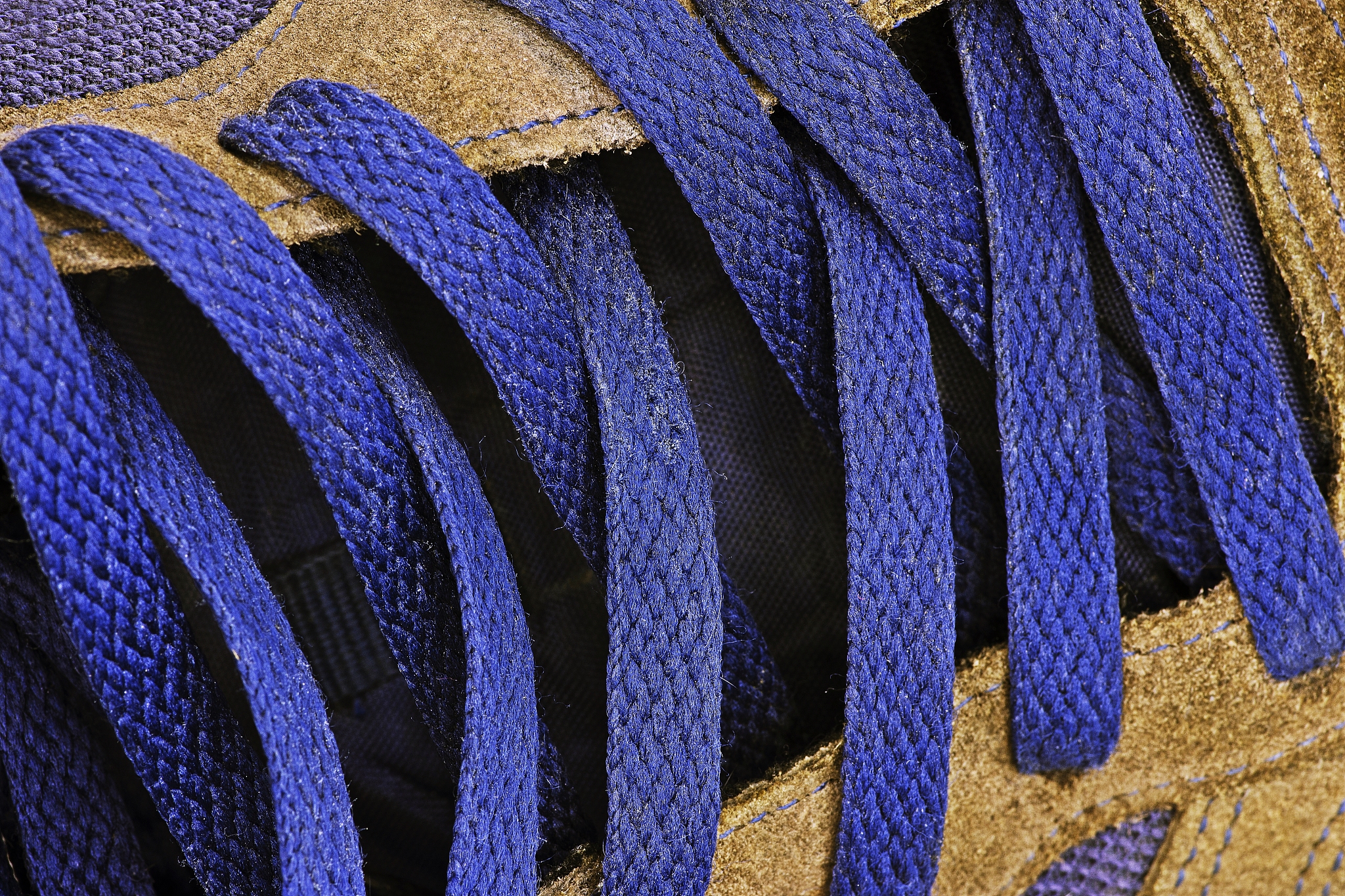 closed up blue shoelace.