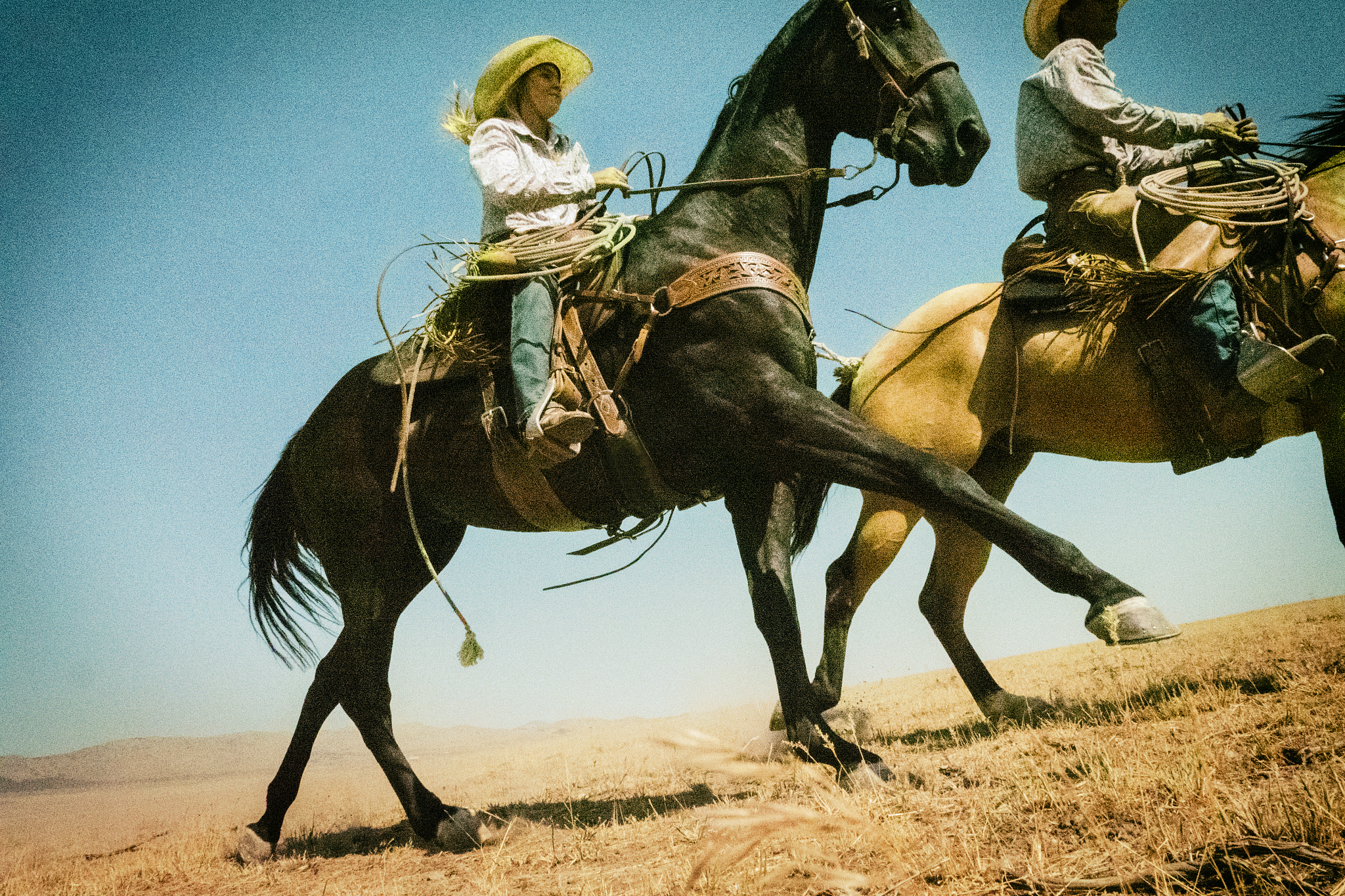 riding fast horses