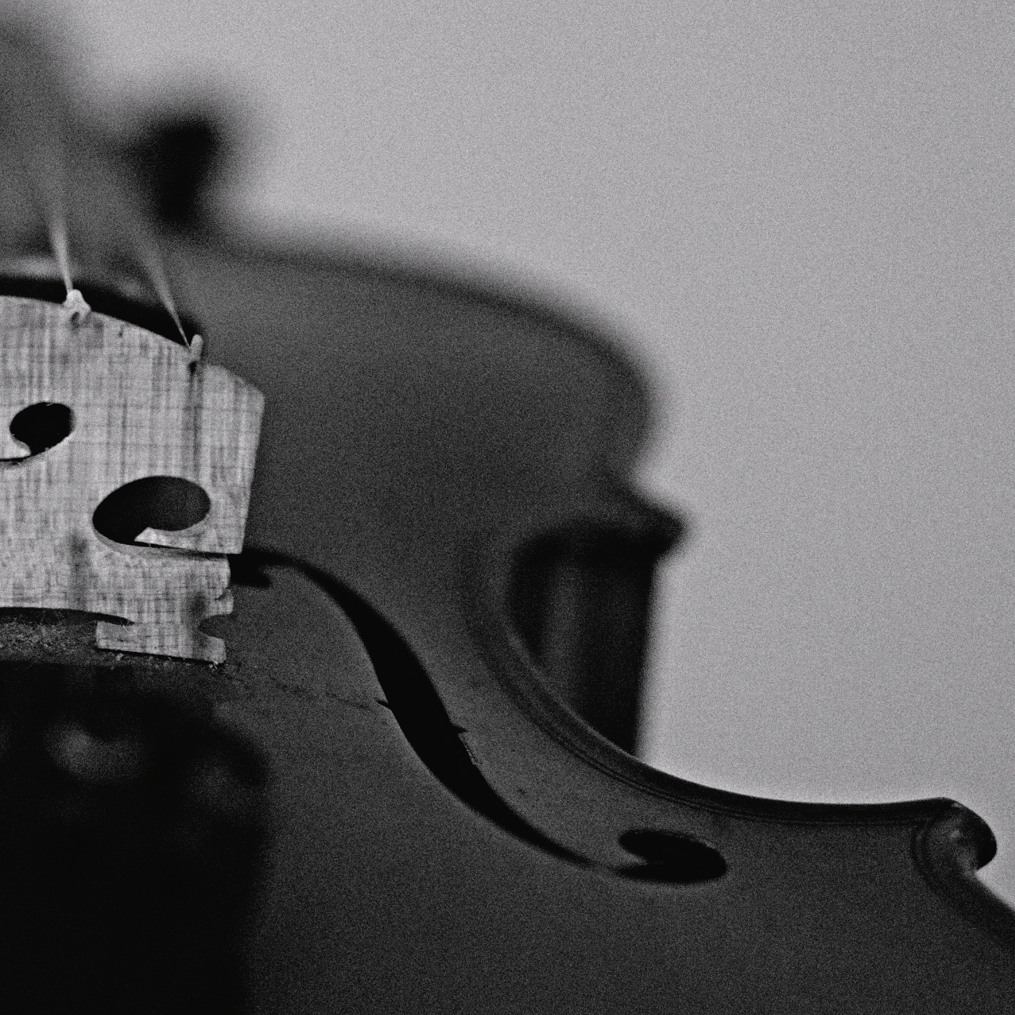 孤独摇滚：'孤独演奏的旋律'，一个孤独的灵魂在音乐中寻找共鸣