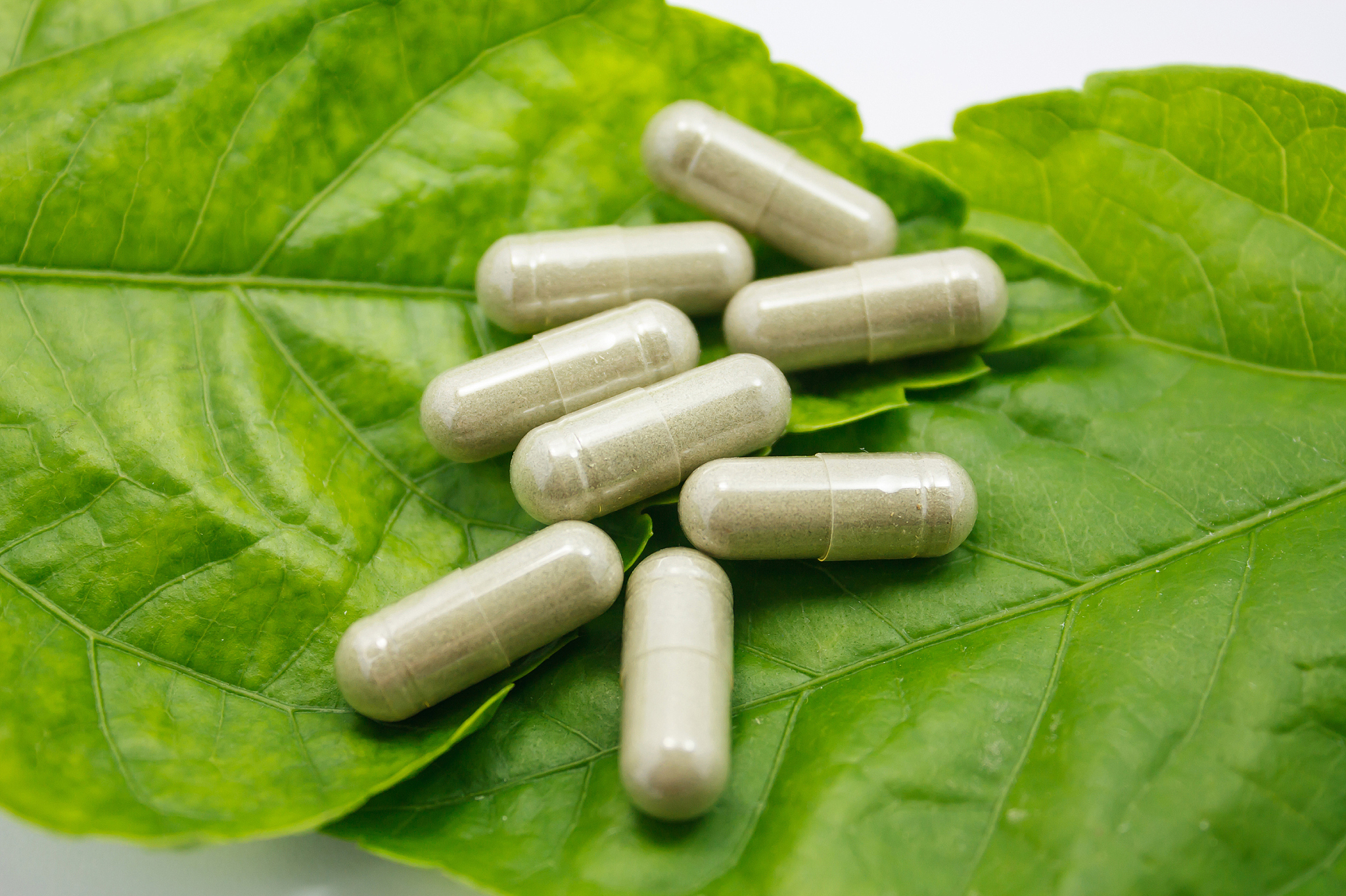 herbal medicine
