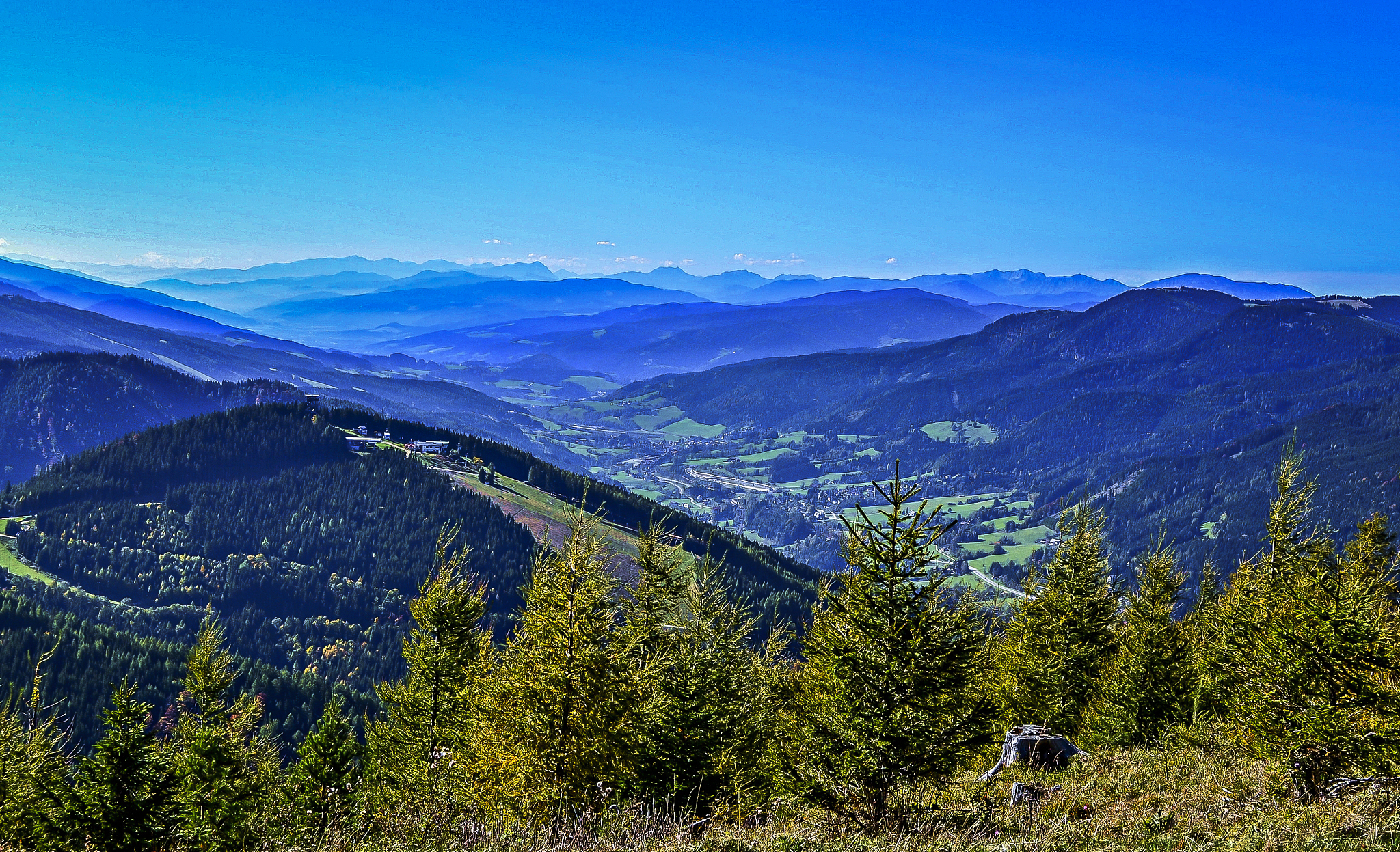 yum install epel-releaseyum install clang clang-devel clang-analyzer什么意思