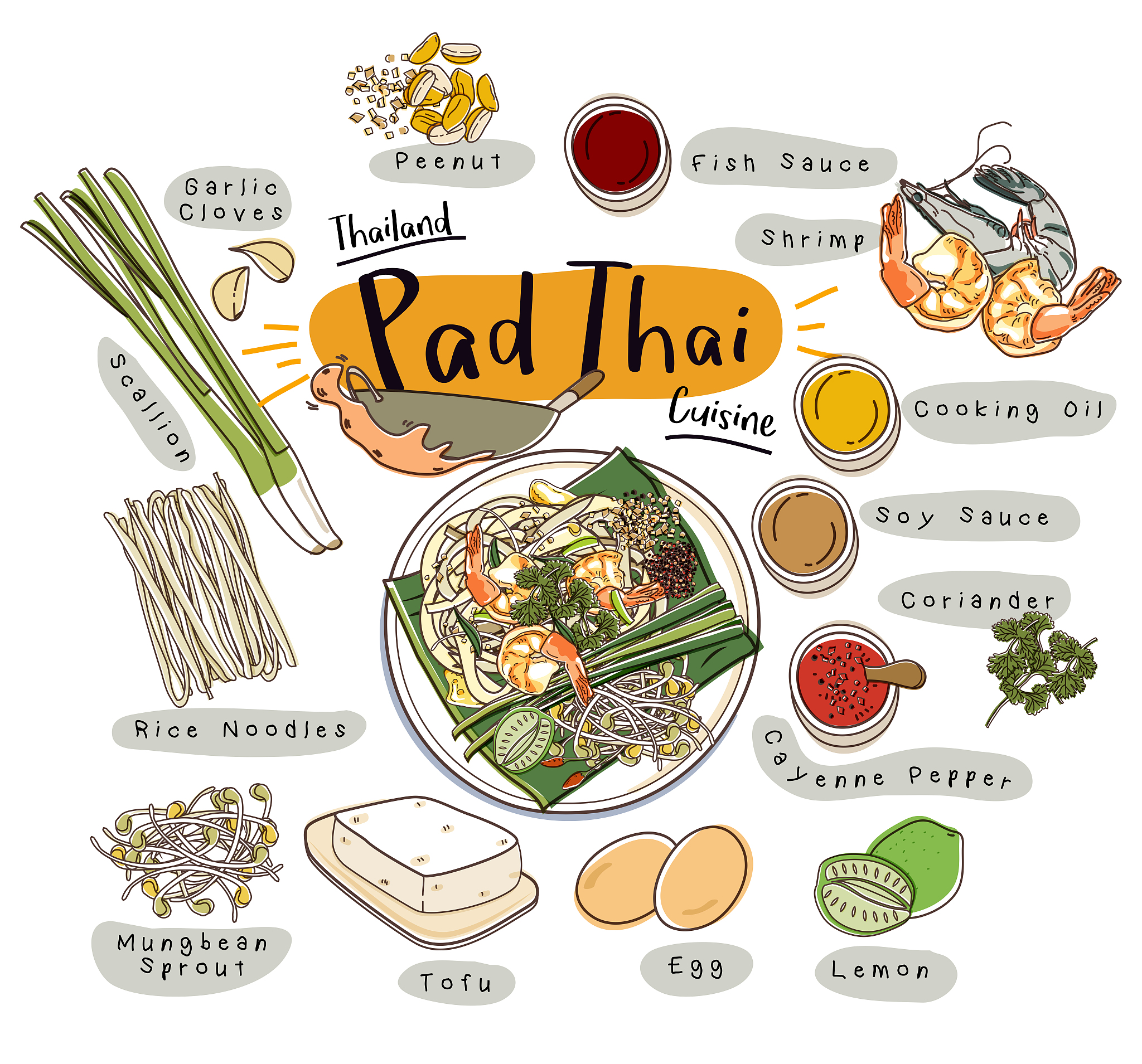 pad thai with ingredients set. thailand cuisine recipe illustrat