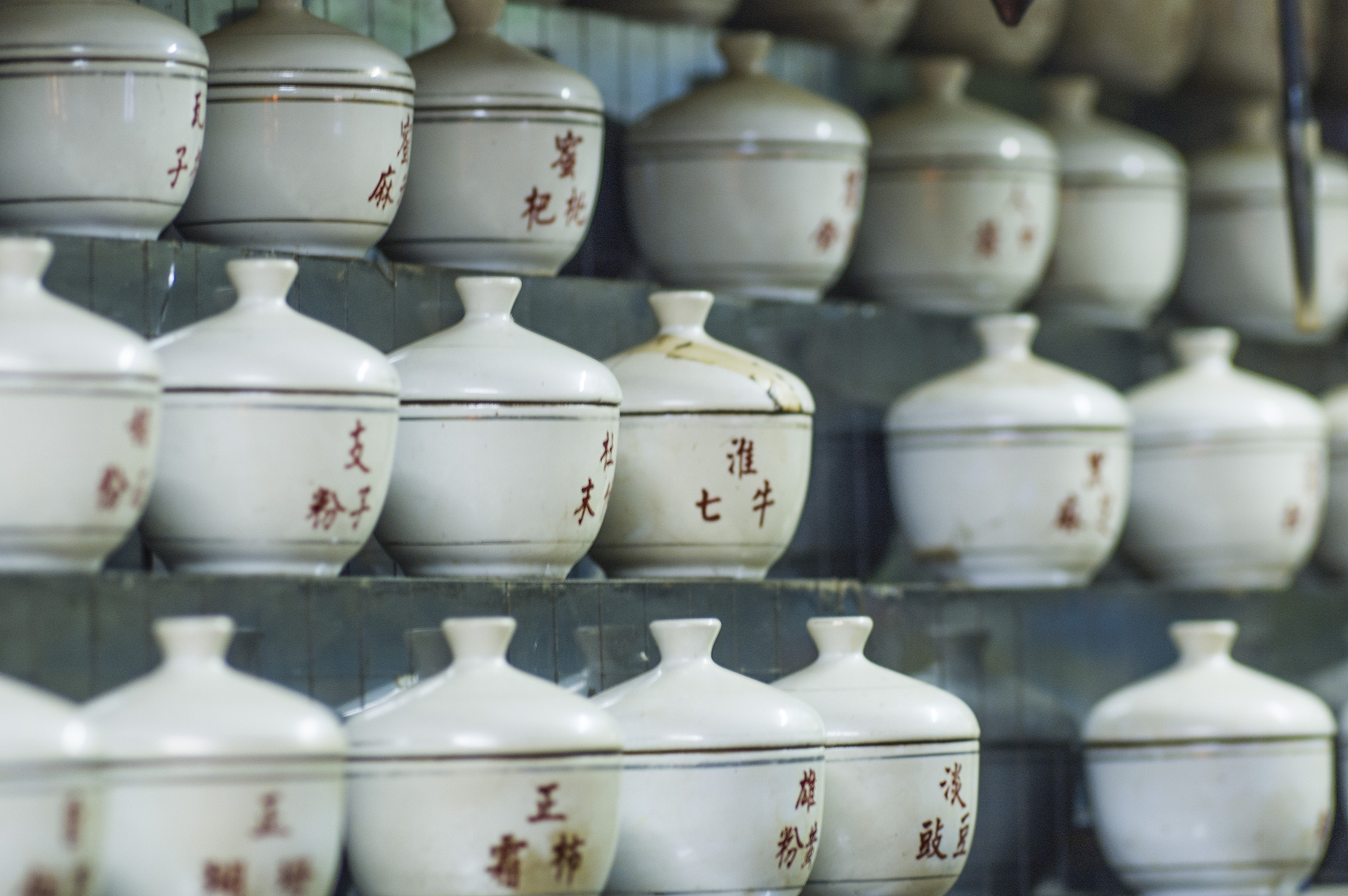 长春中医药大学专业有哪些？专业介绍