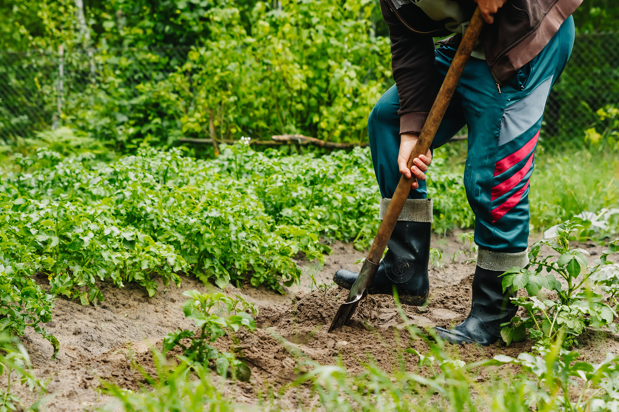 河南驻马店农业学校2023年招生电话 - 报名电话、学校简介