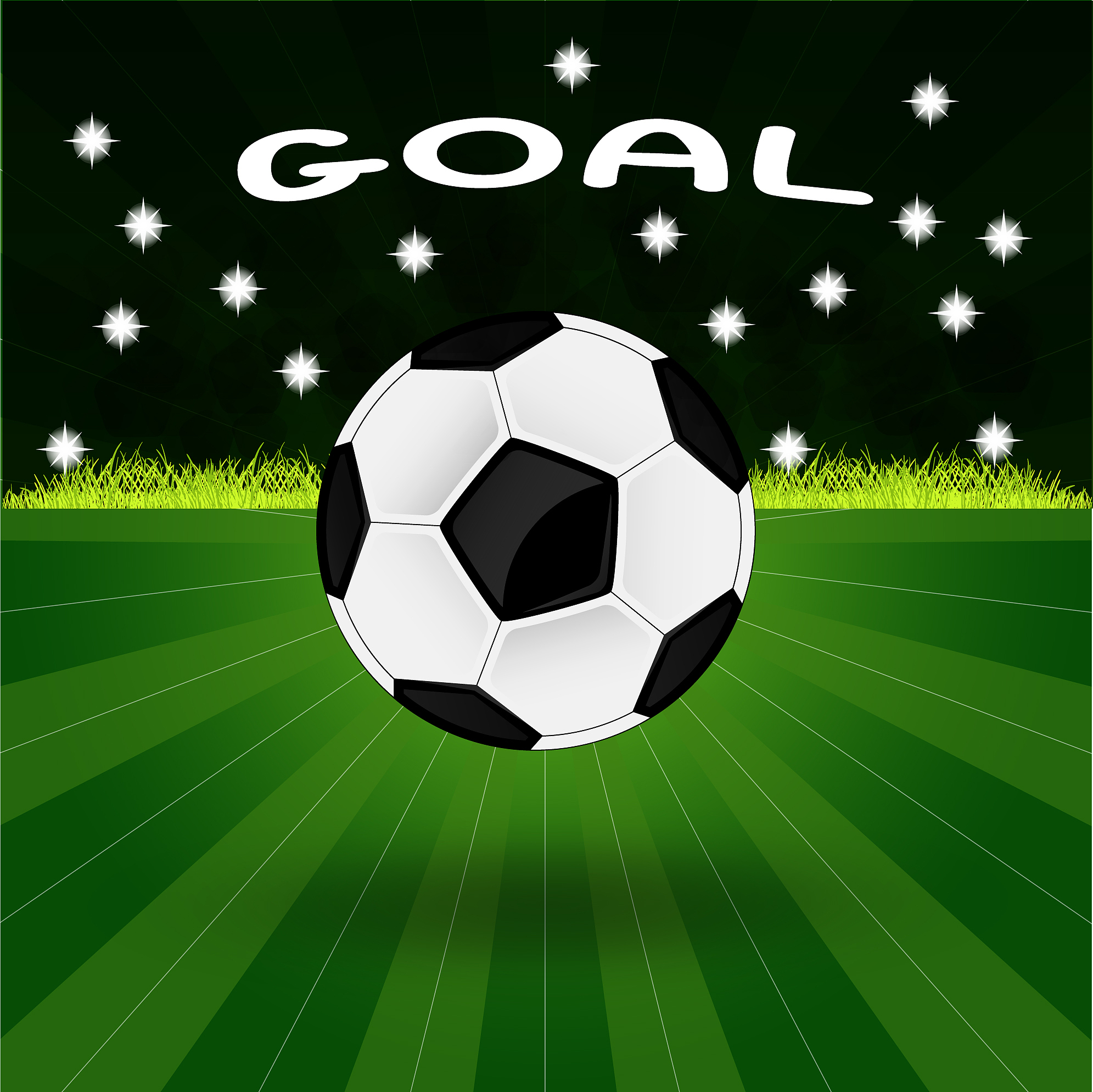 a soccer ball