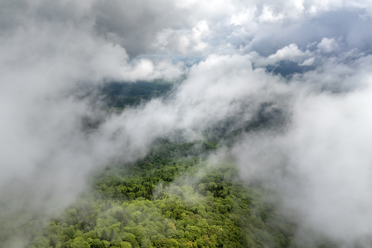农业与森林气象研究：探索气候对生态系统的影响 - AGRICULTURAL AND FOREST METEOROLOGY 期刊