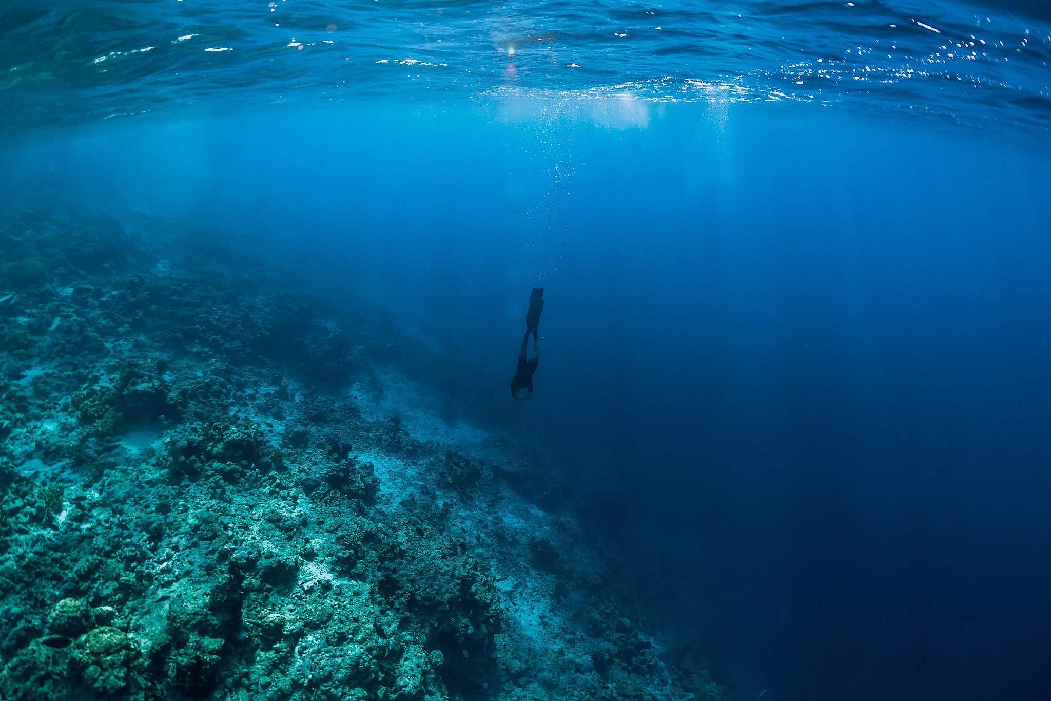 free diver swim in ocean, underwater view with rocks and corals