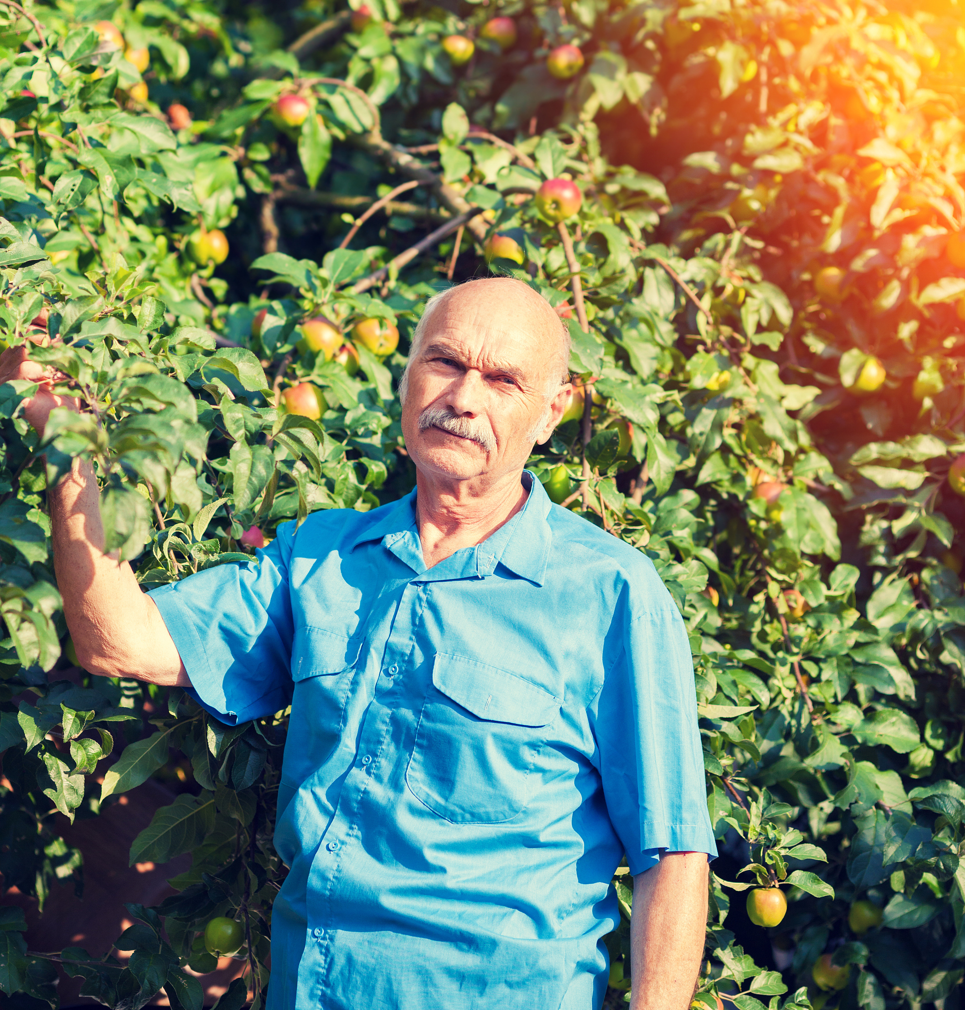 FIELD CROPS RESEARCH 期刊主编是谁？