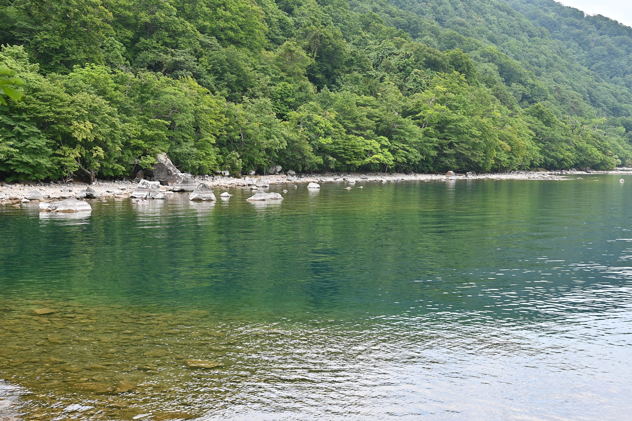 stream oirase in mid summer