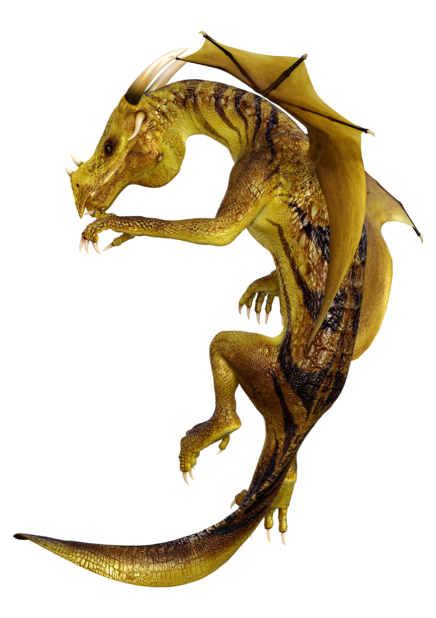 3d illustration fantasy dragon on white