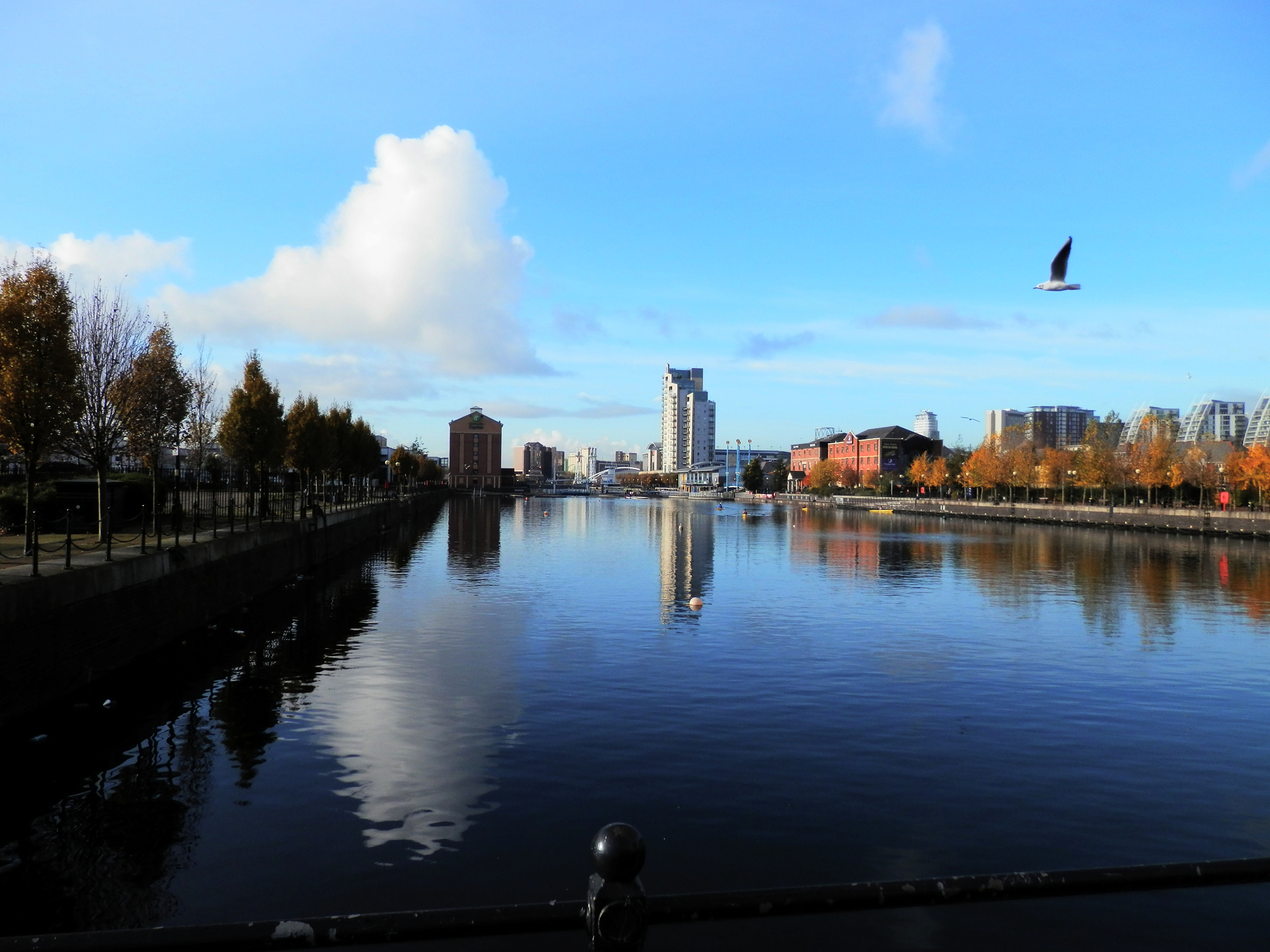 city view