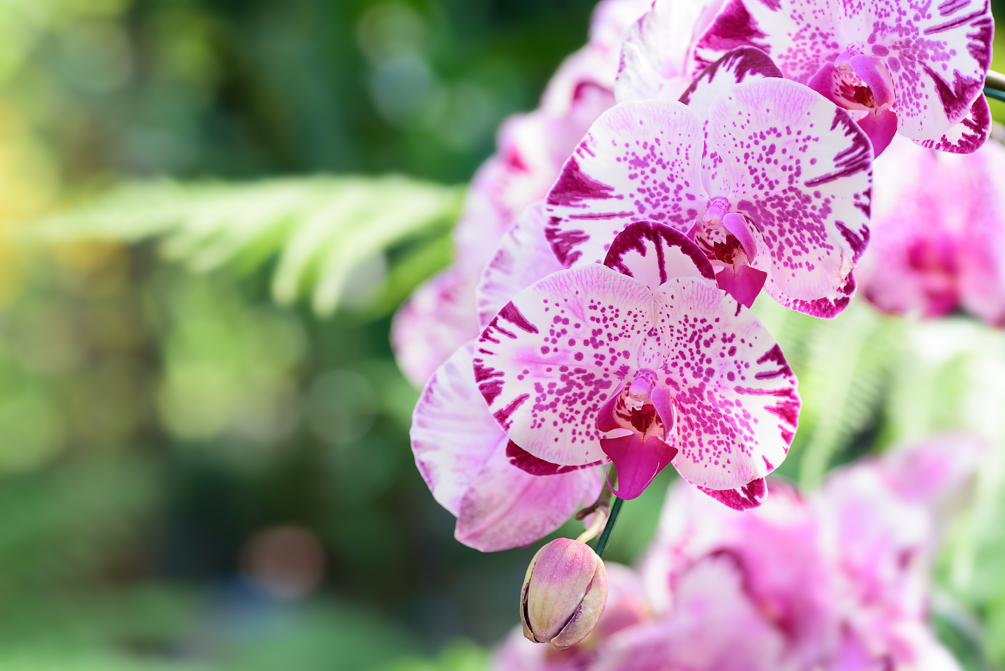 小学课本里描述春天的句子