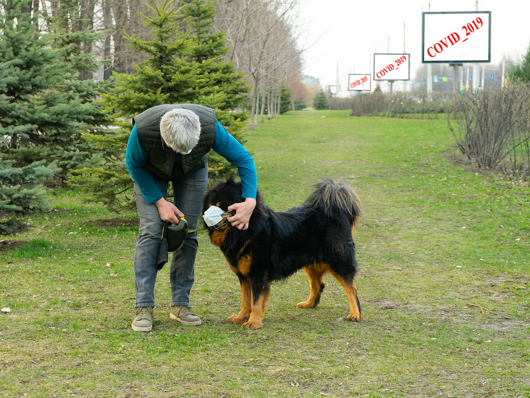 the owner adjusts the medical mask on his dog during a walk. com