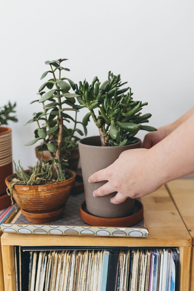【重要】宿泊トラブル防止のため、パスポートと同一のローマ字氏名をご入力ください