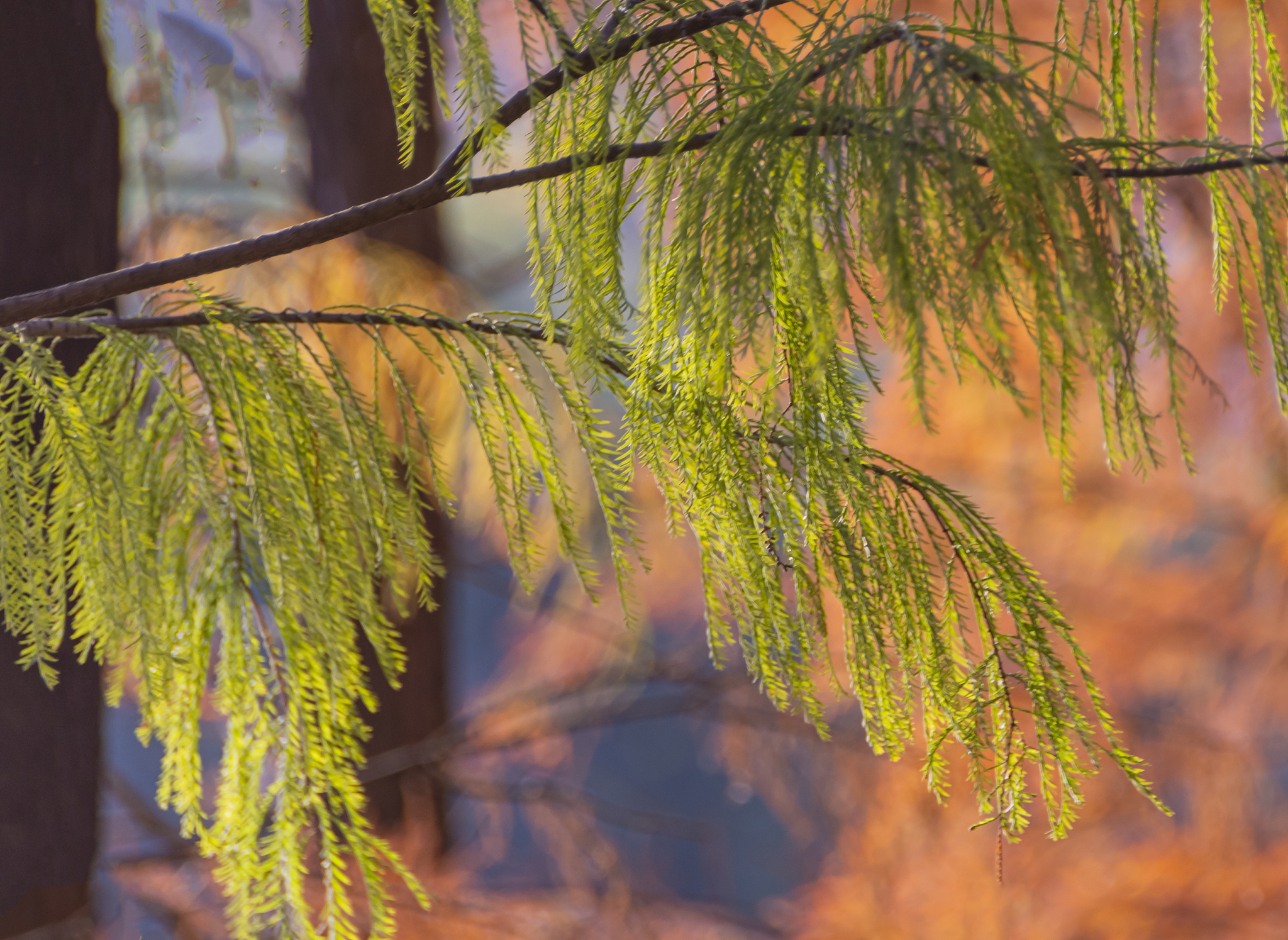 创业史中的景物描写：城市与荒野的创业故事