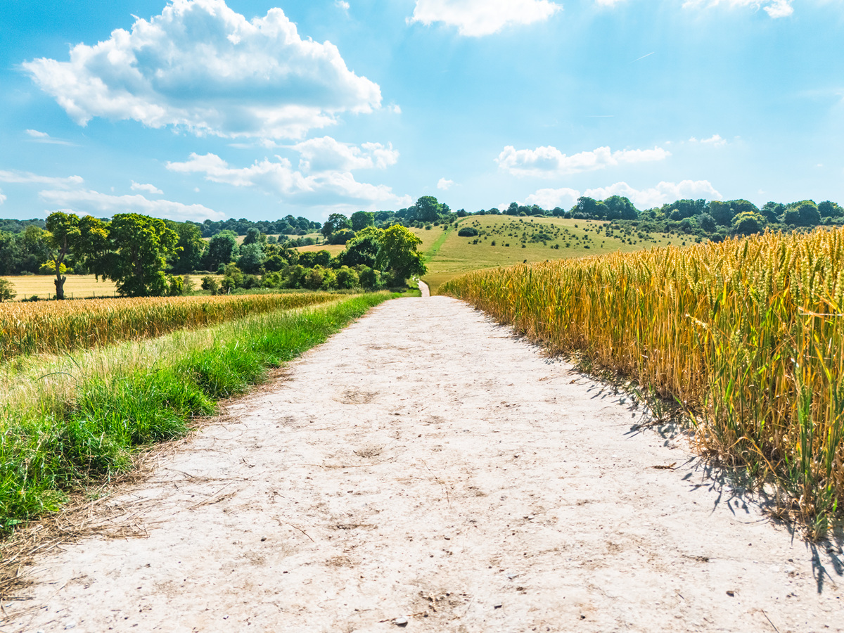 傲慢与偏见：一部揭示人性偏见的经典小说