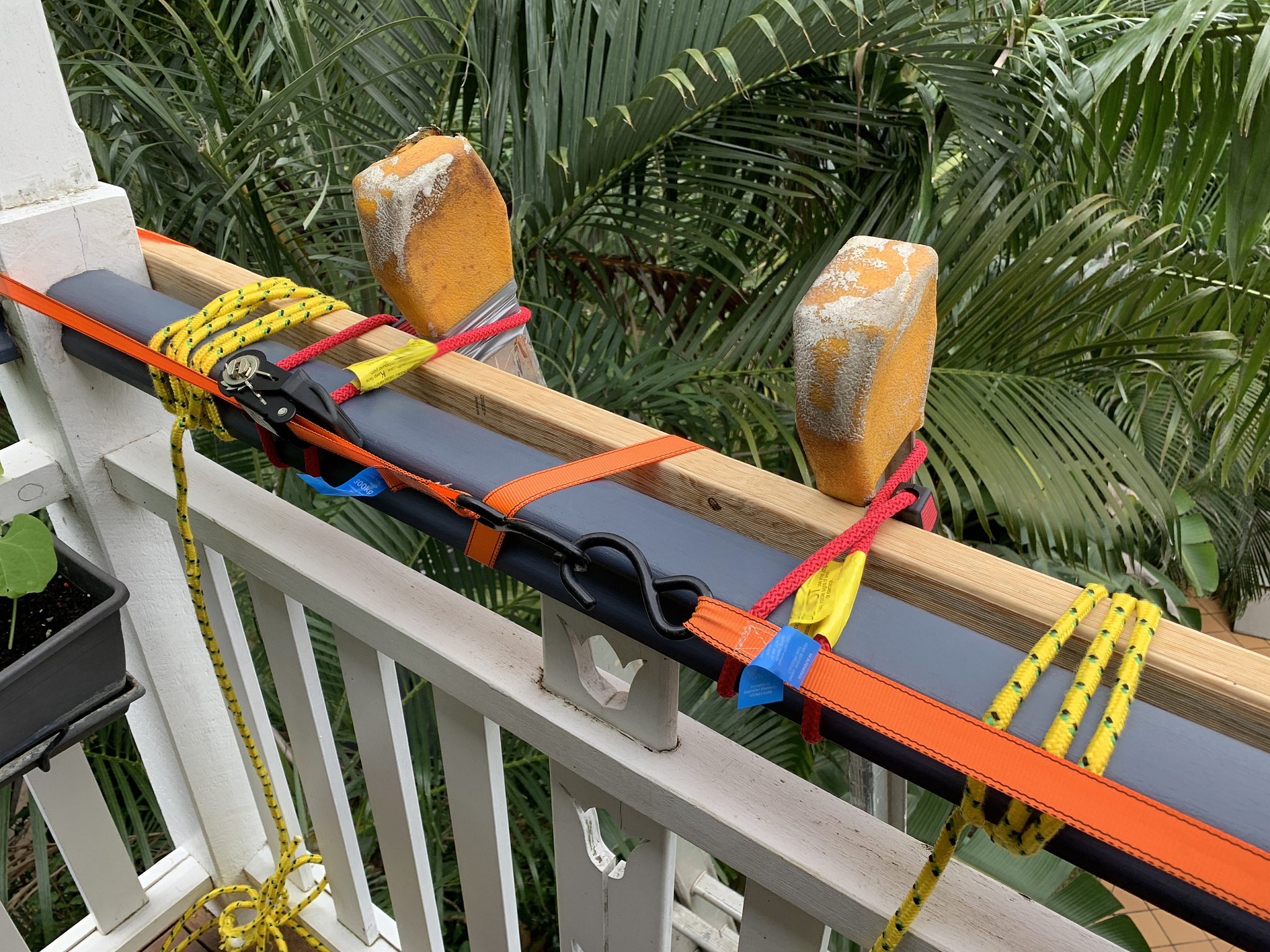 福建林业职业技术学院园林技术专业就业前景分析 - 好就业吗？