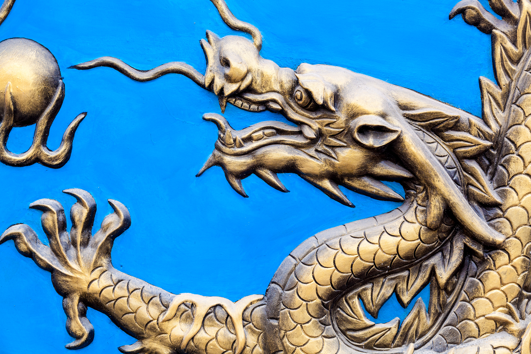 dragon