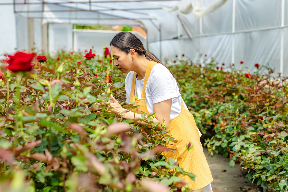 红河中专学校果蔬花卉生产技术培训，助力农业产业发展
