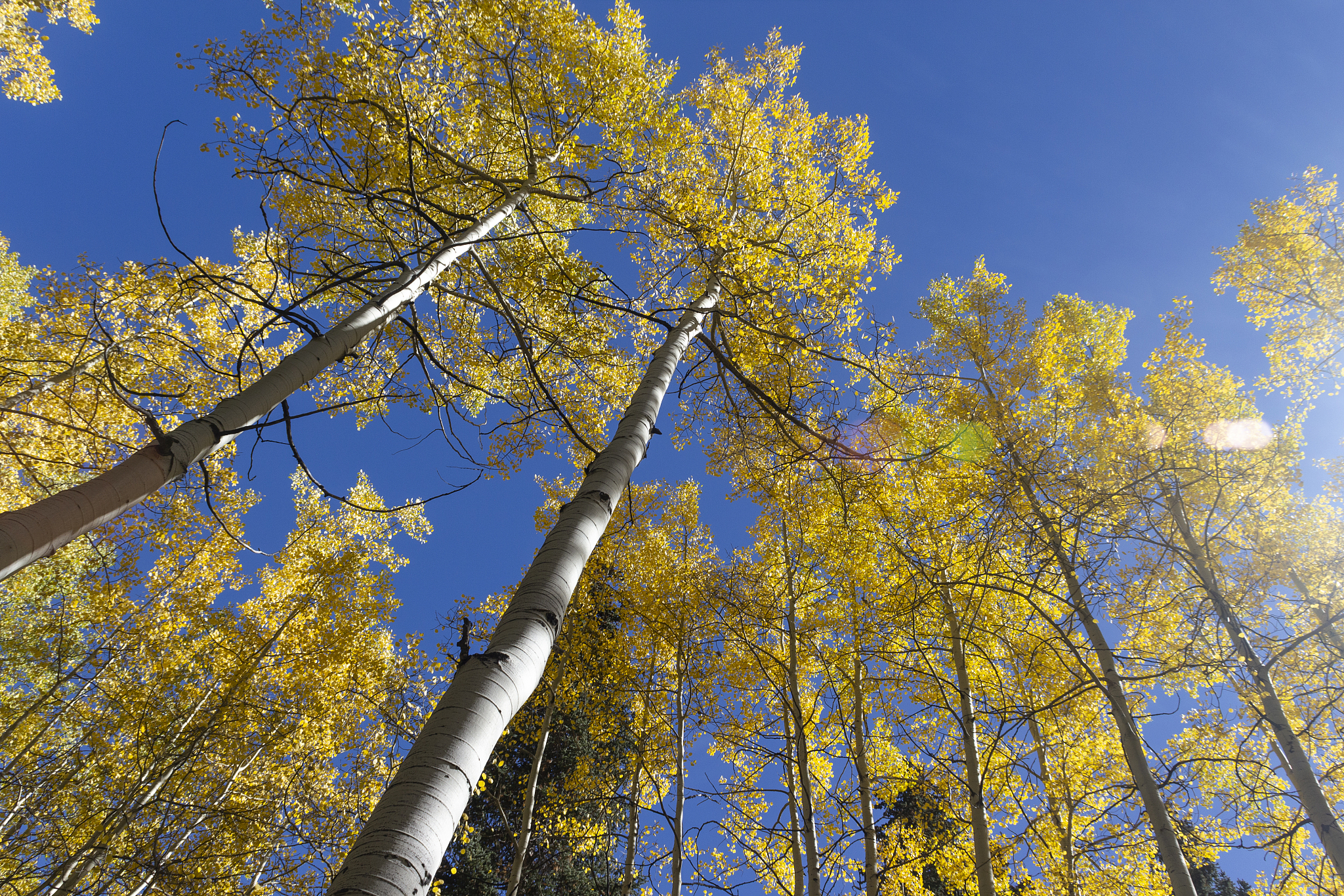 多角度观察：探索物体隐藏的细节和信息