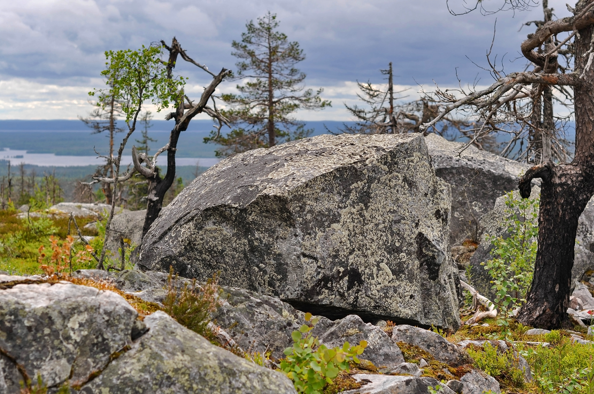 我的秘密：一个爱收集石头的孩子