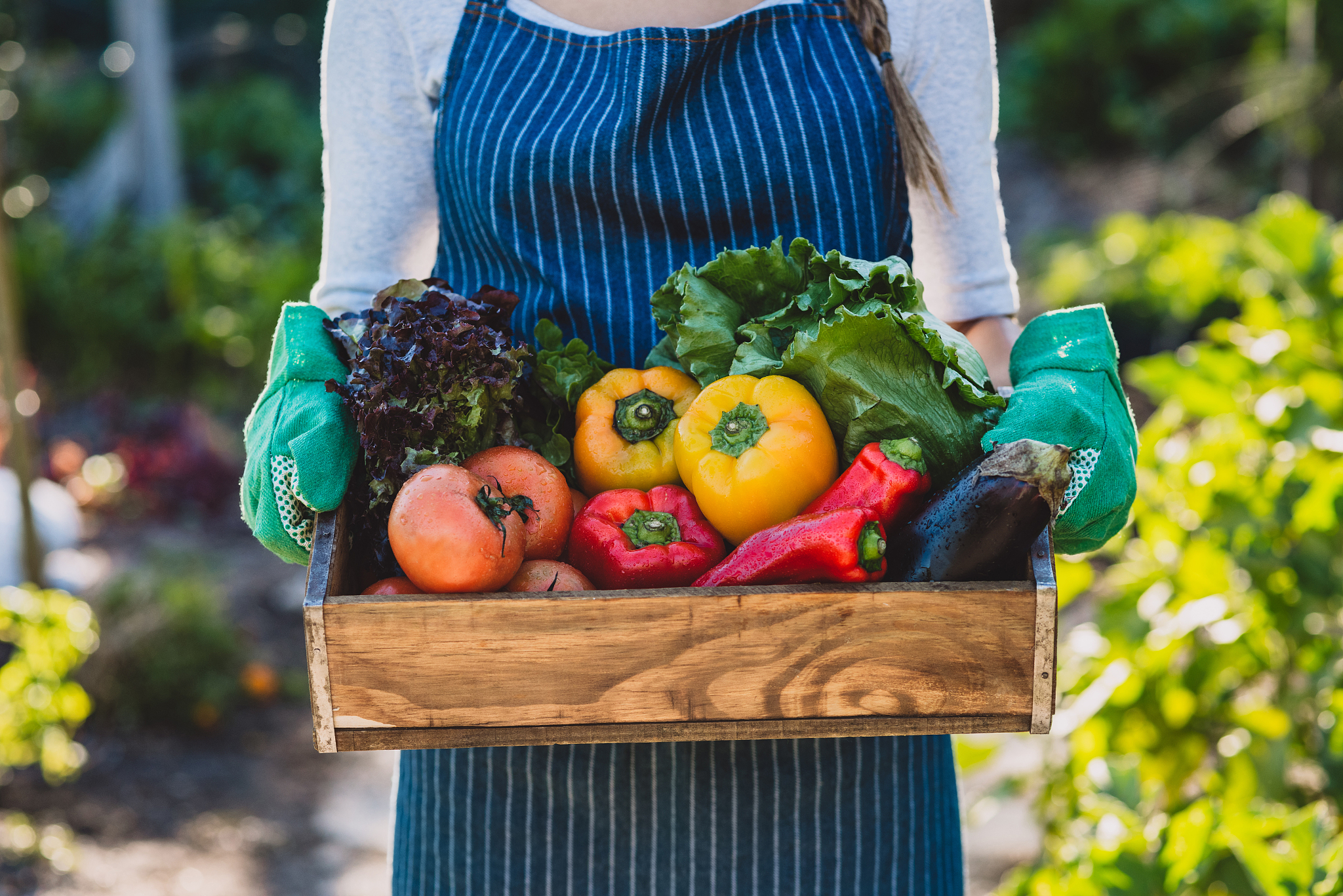 吉林一般毕业学什么专业赚钱 前景好的专业