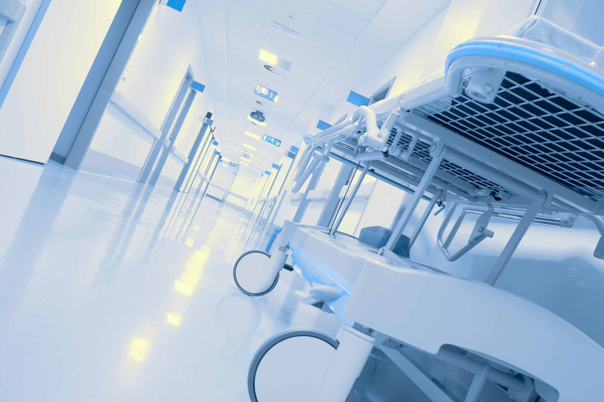 独眼看历史：独特的视角 - 简短演讲稿