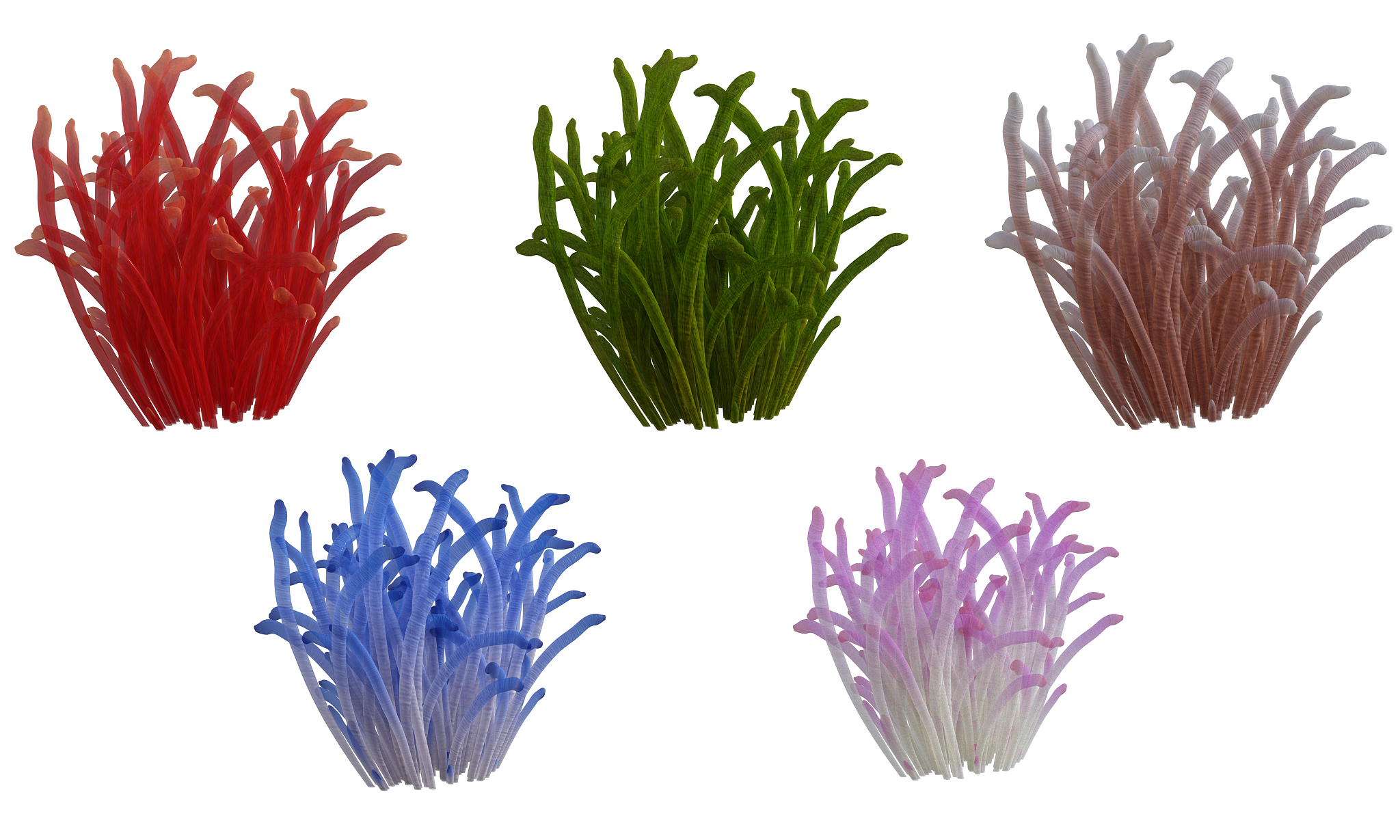 set of assorted corals isolated on white, 3d render.