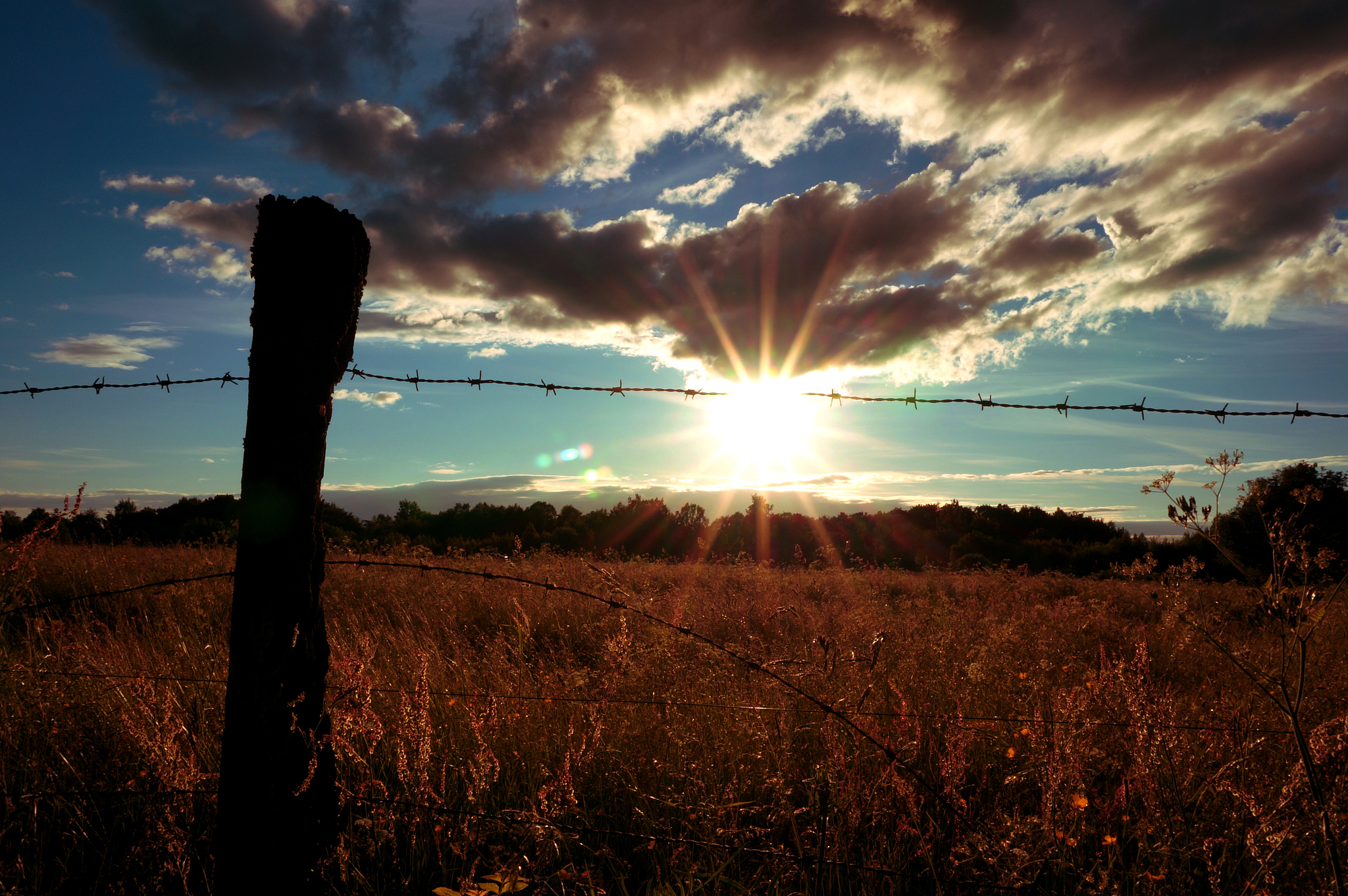 静静努力时看到治愈风景的文案