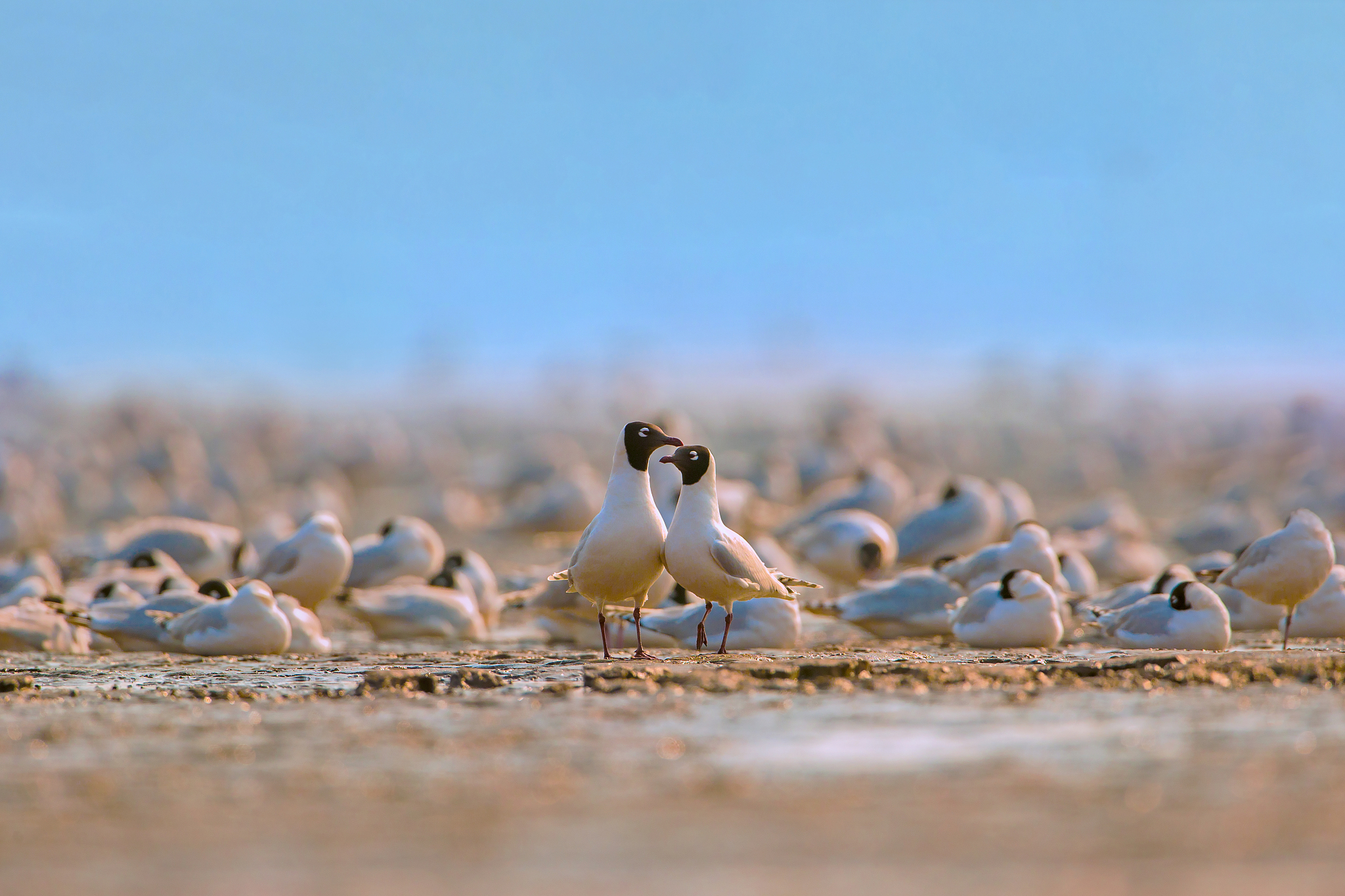 天津职业大学物流管理专业怎么样
