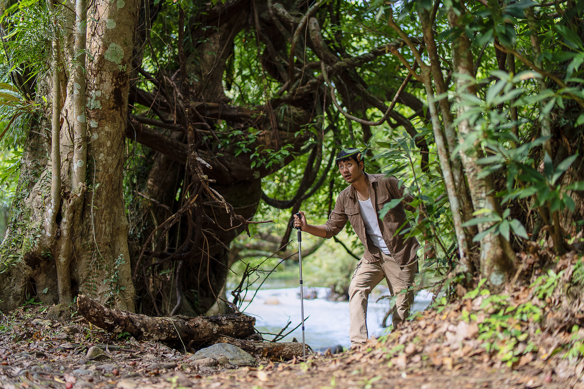 人类文化并非唯一：岛屿和丛林部落展现多元可能性