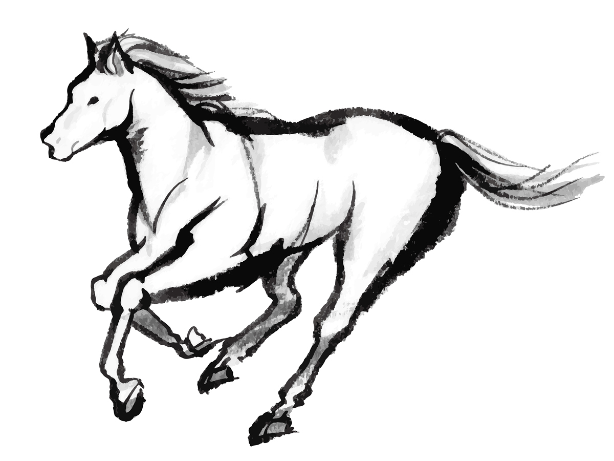 绿绿海水任他游，大地草原是我家 (打一生肖)