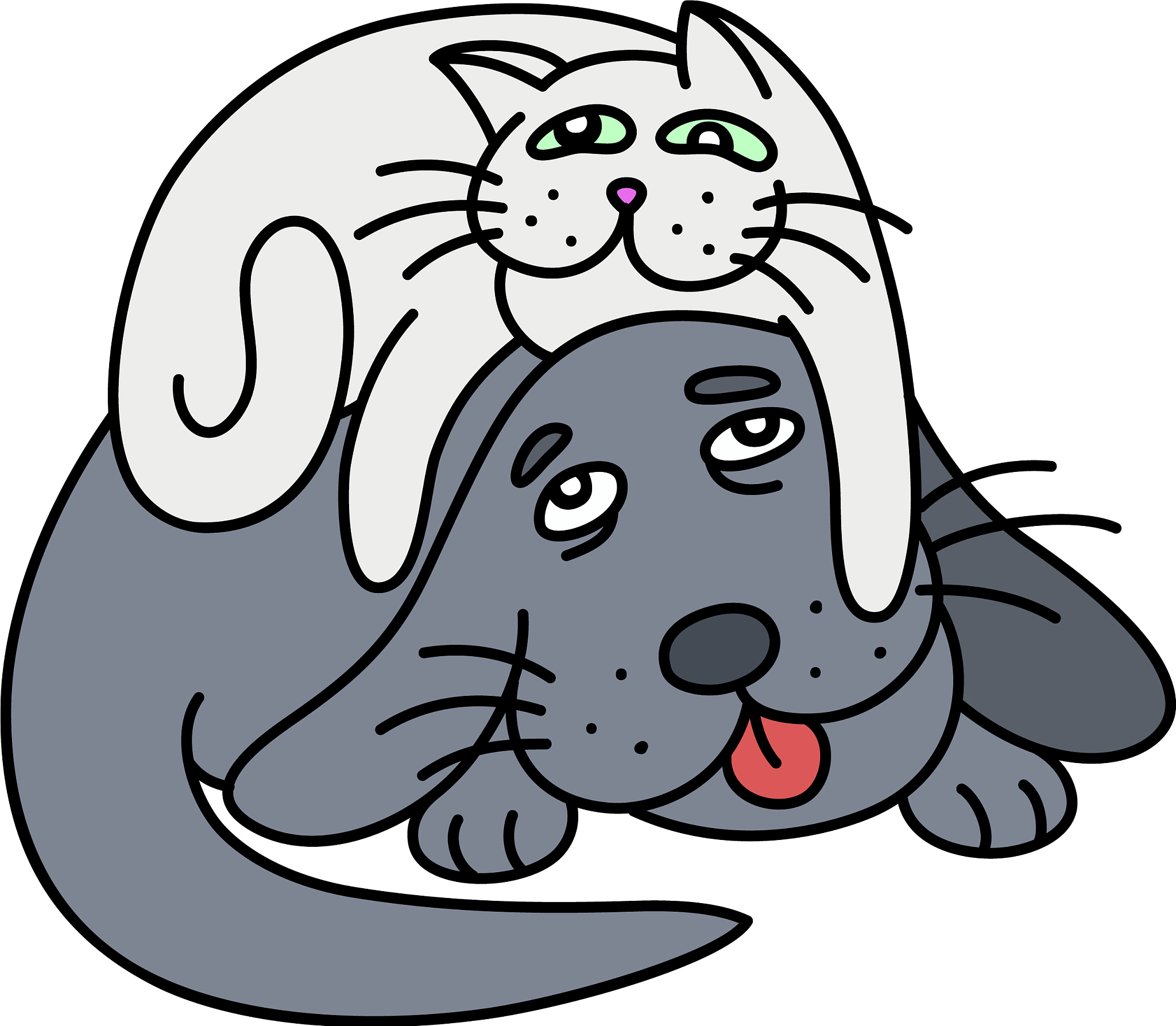 猫为什么这么瘦？爆笑动物笑话