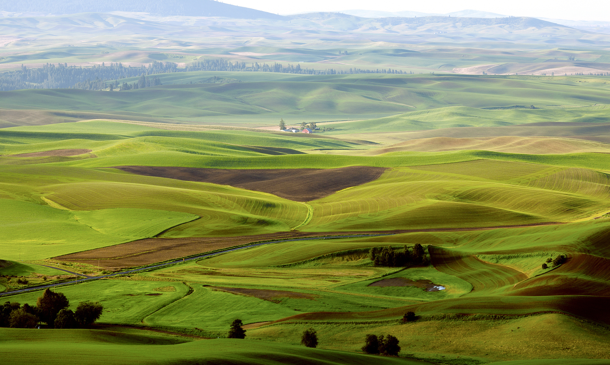 palouse rolling hills