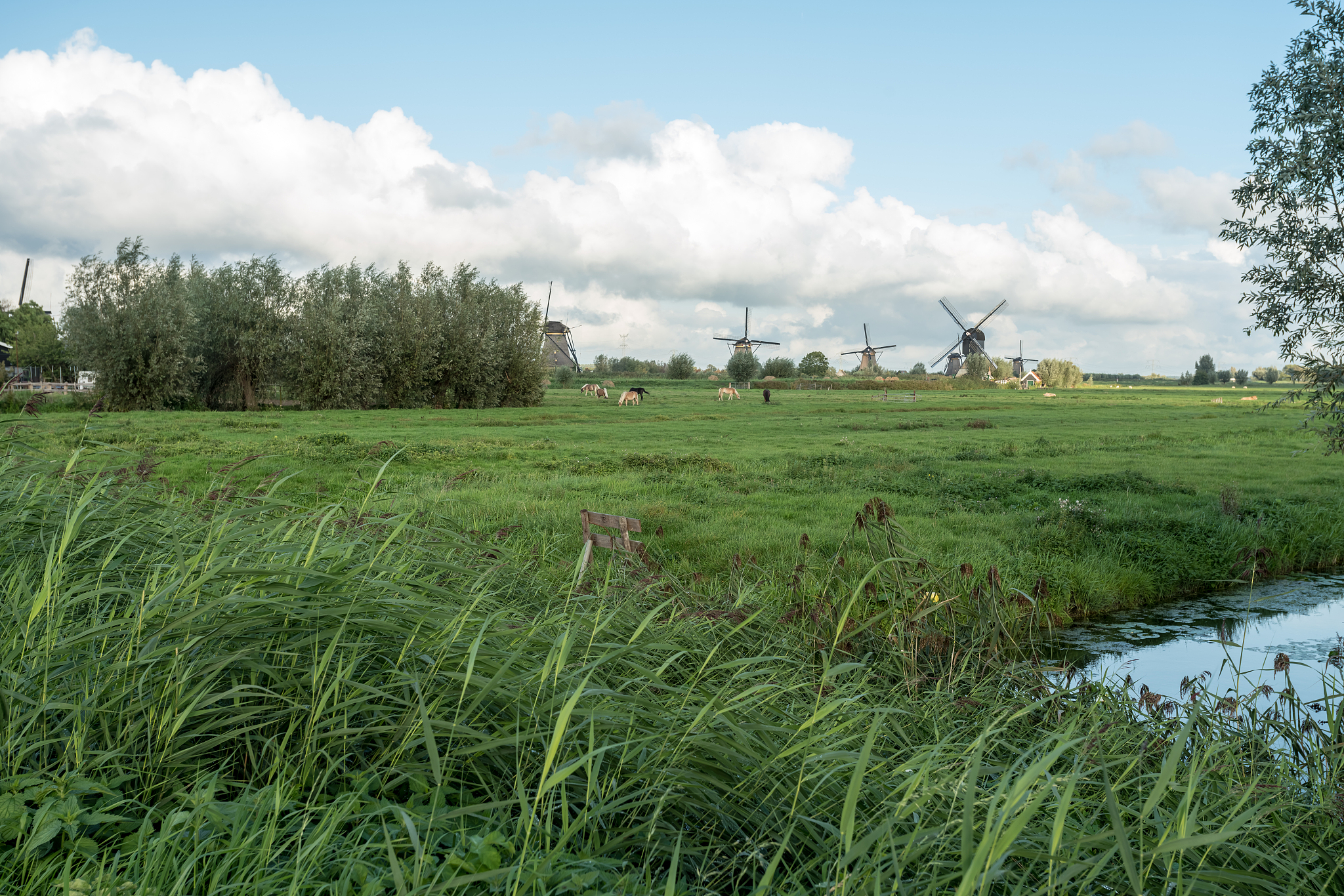 kinderdijk in holland