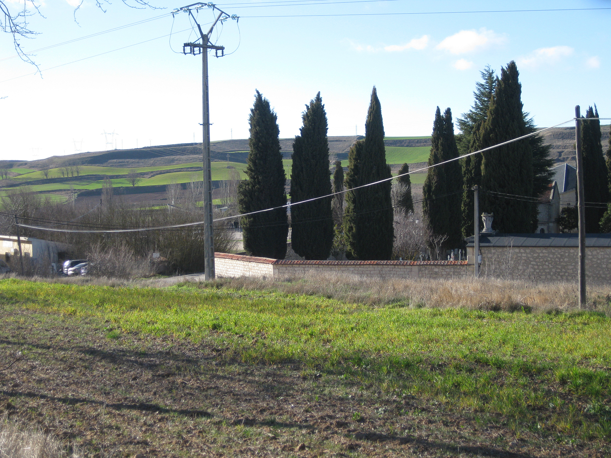 walks and fields.