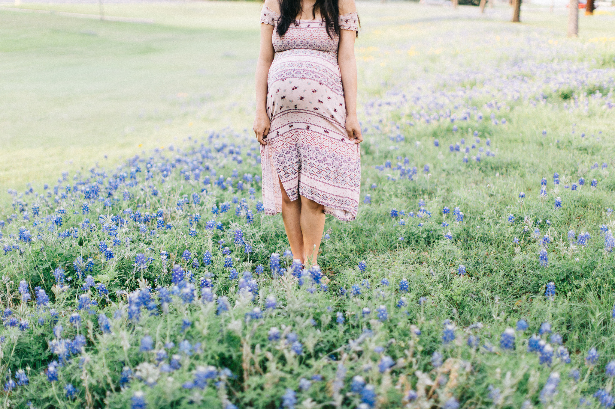 bluebonnet maternity shoot