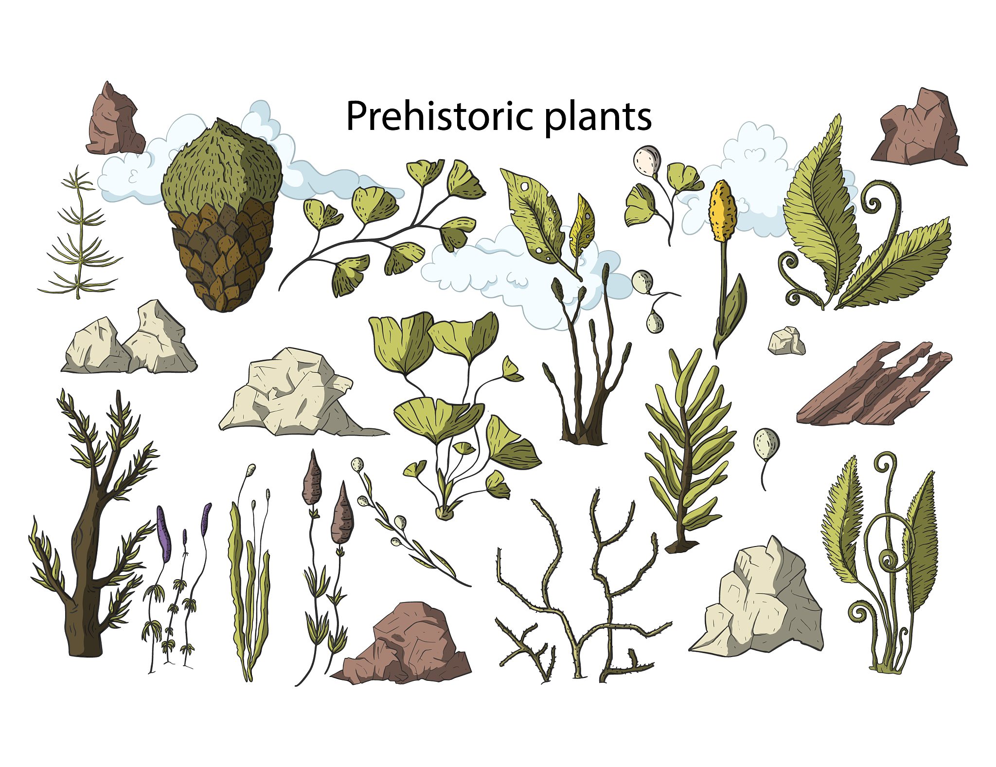 白枝漫画主角：白枝与黑大
